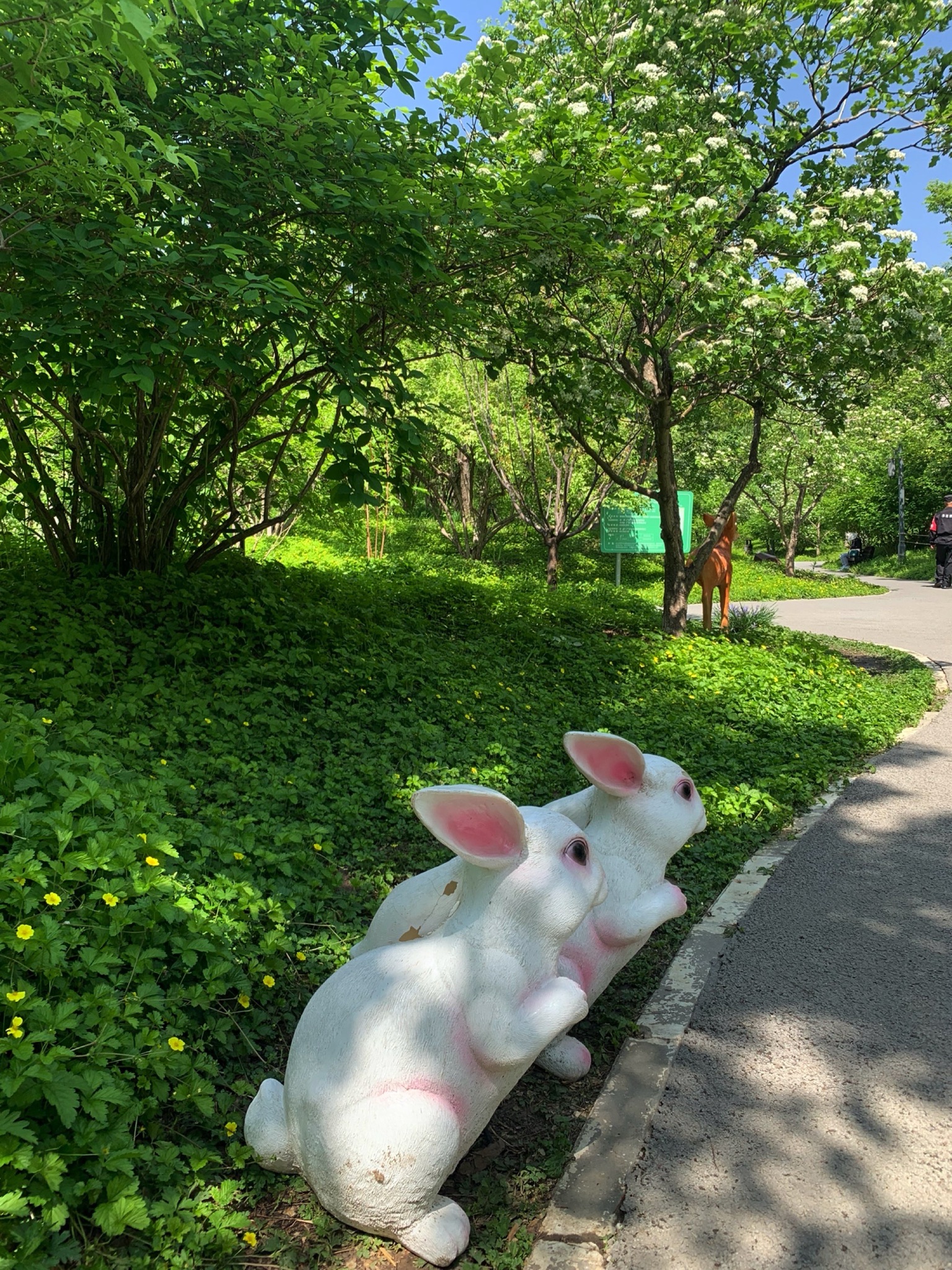 广阳谷城市森林旅行图片 3