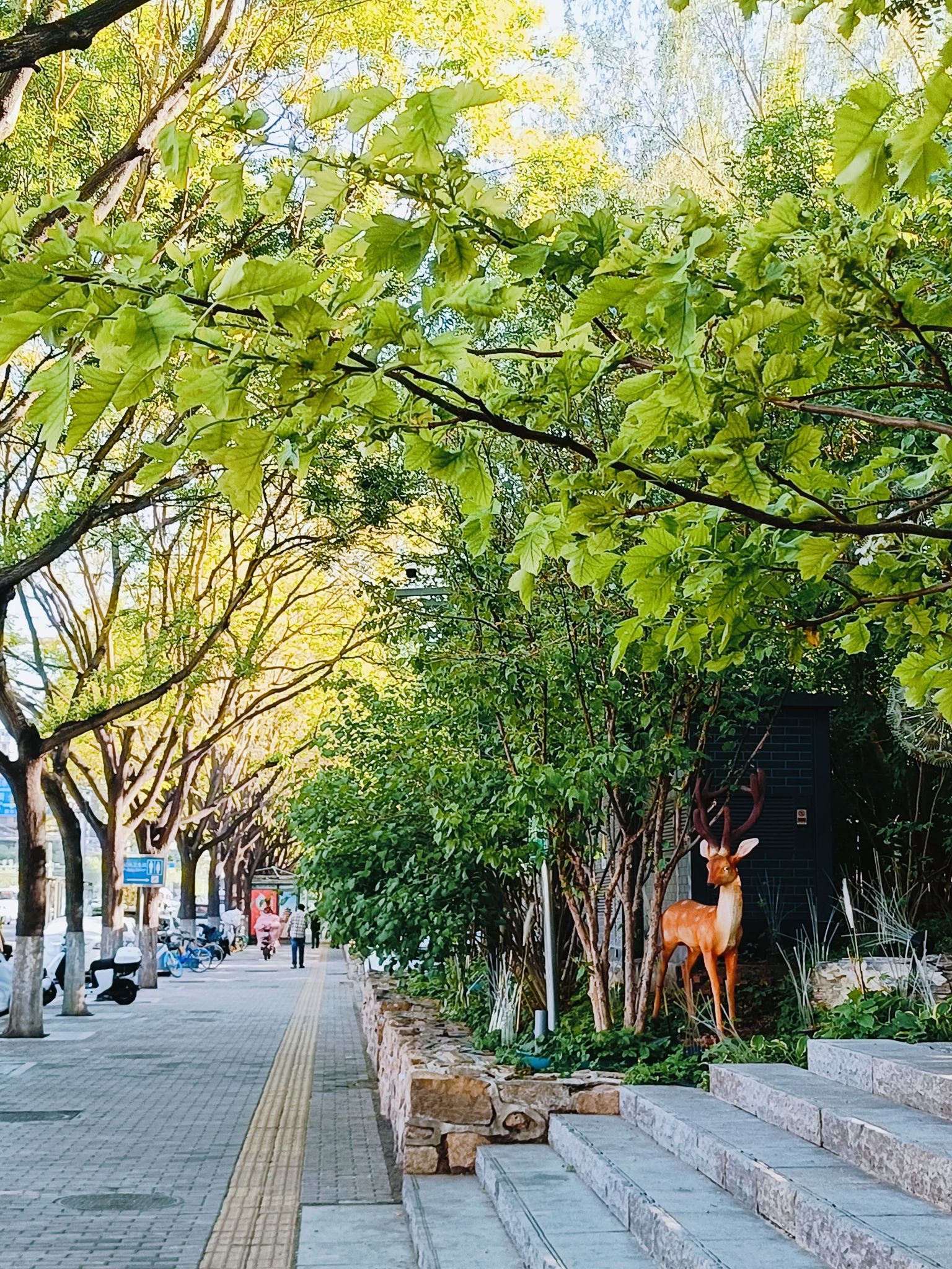 广阳谷城市森林旅行图片 2
