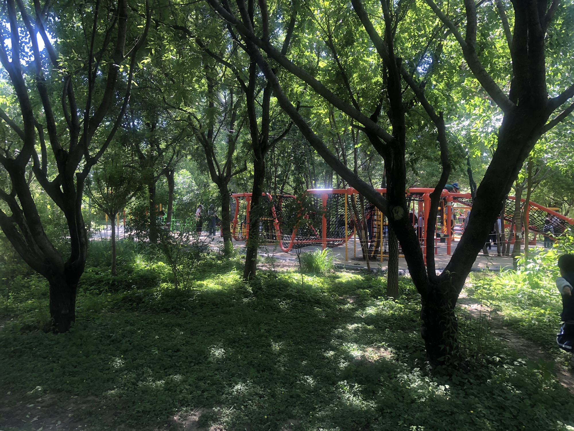 广阳谷城市森林旅行图片 3