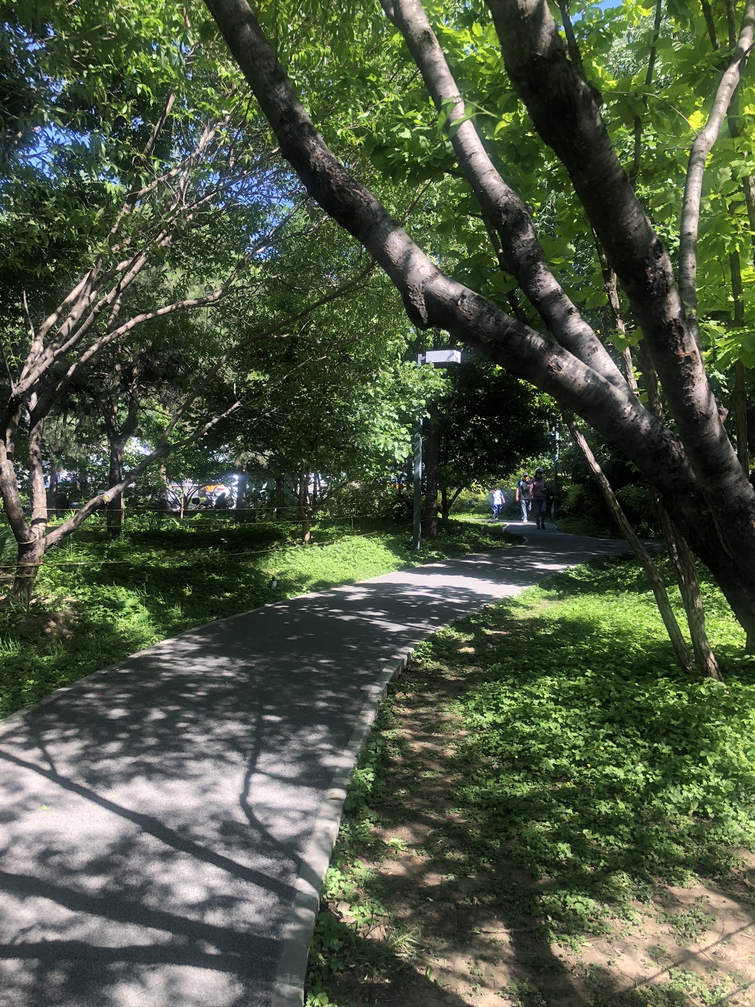 广阳谷城市森林旅行图片 1