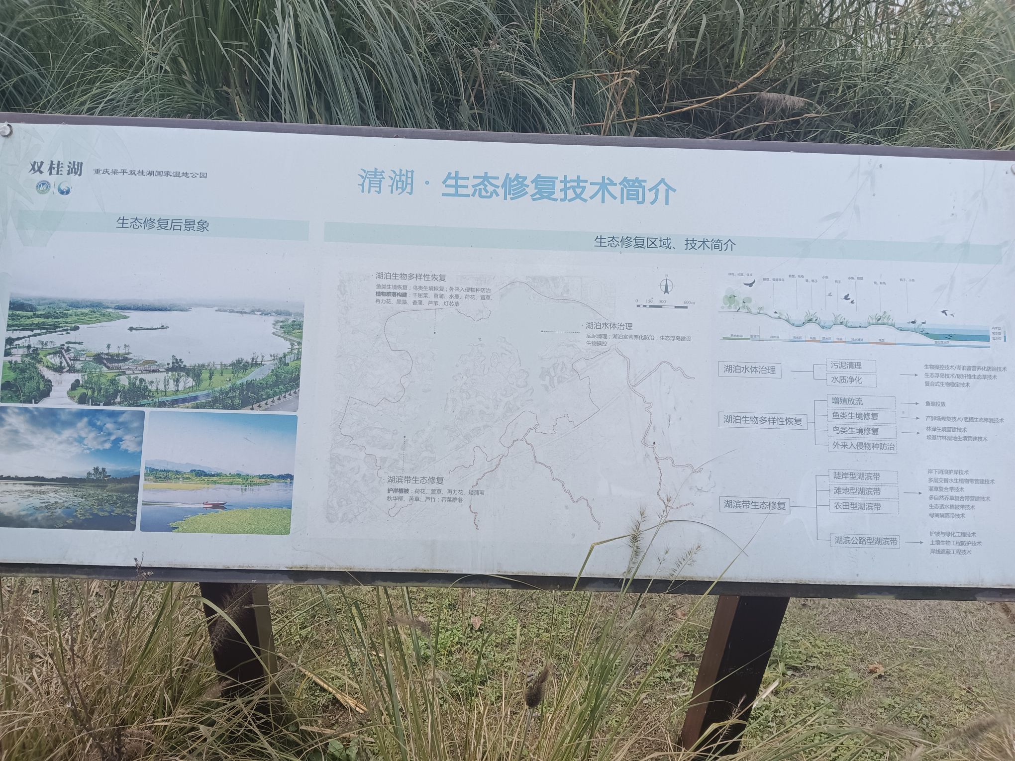 重庆梁平双桂湖国家湿地公园旅行图片 2