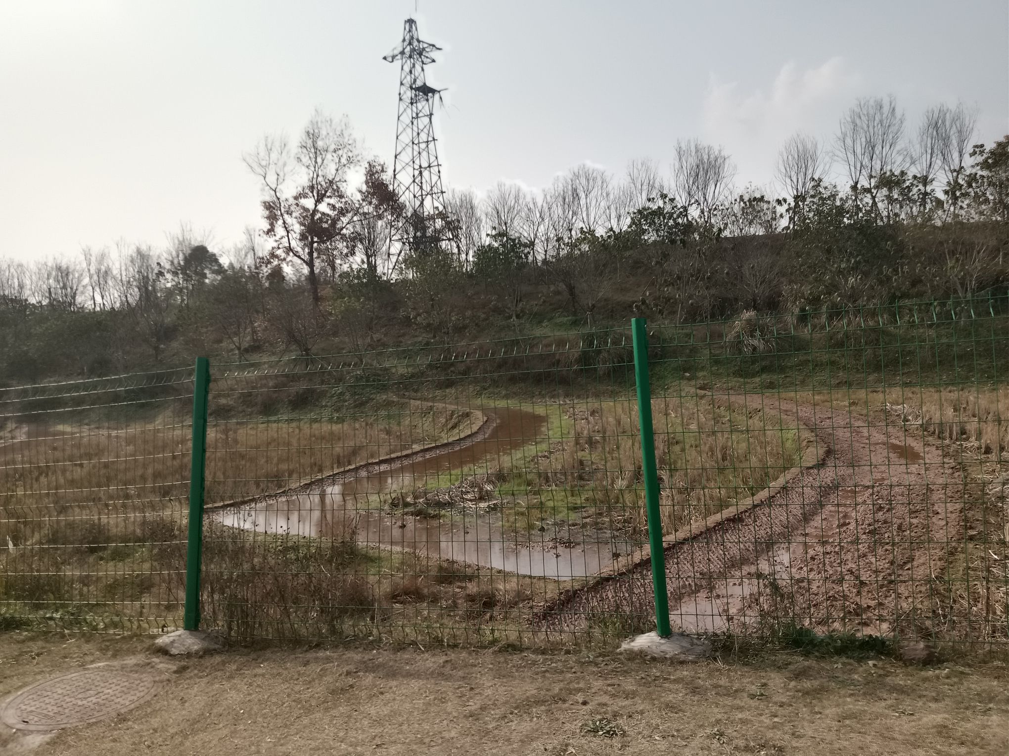 重庆梁平双桂湖国家湿地公园旅行图片 1