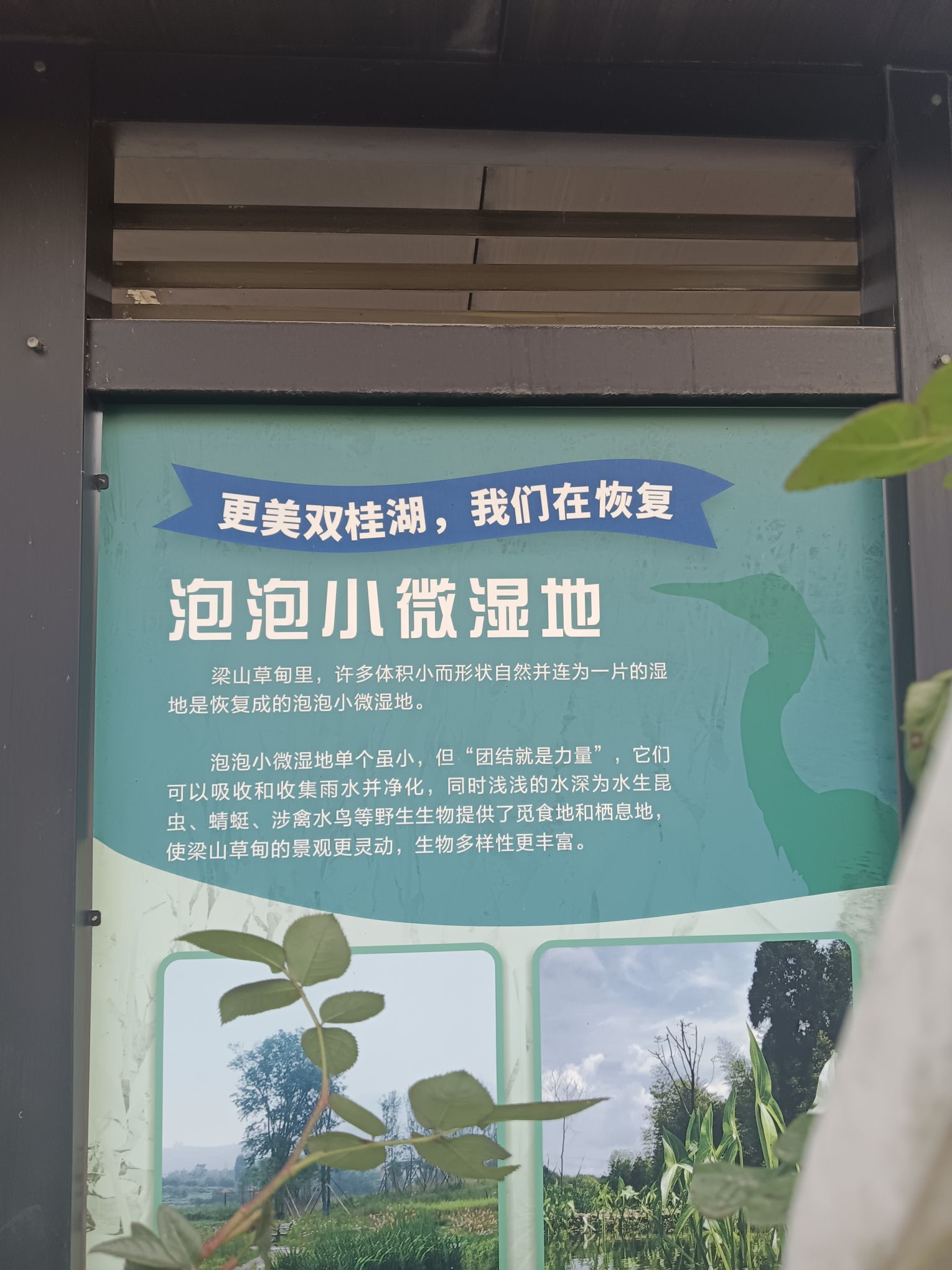 重庆梁平双桂湖国家湿地公园旅行图片 3