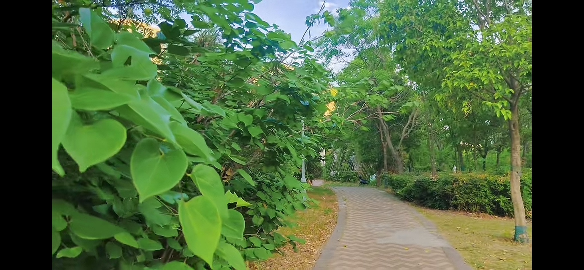 太和铁路文化主题公园旅行图片 3