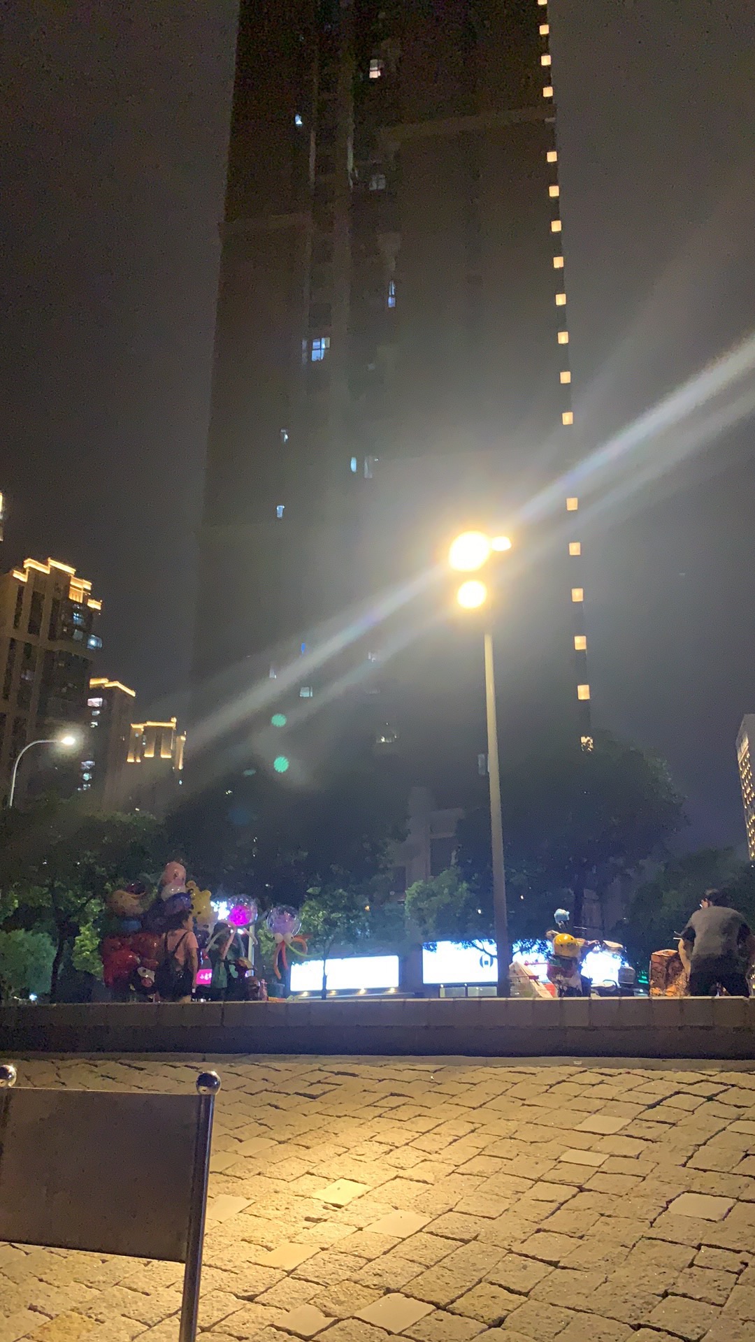 杏林桥观景旅行图片 2