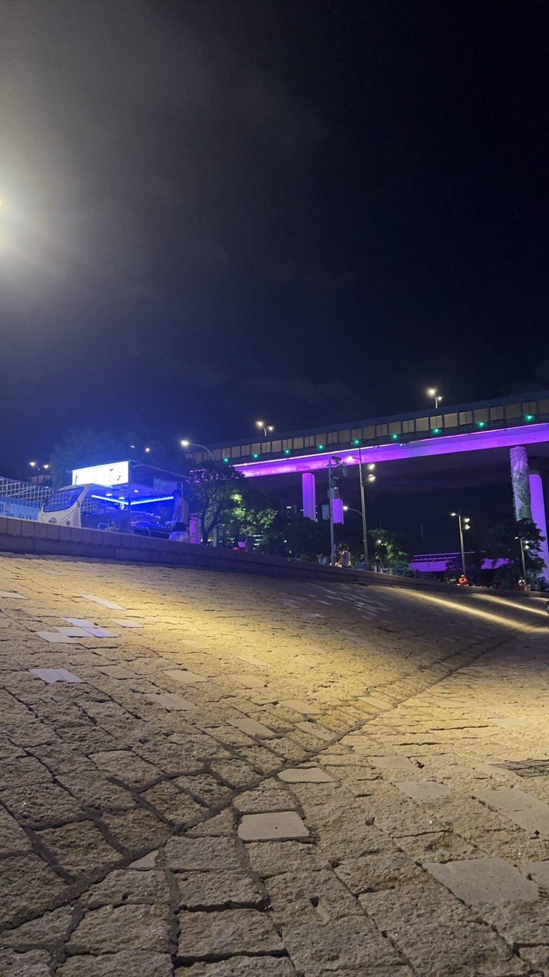 杏林桥观景旅行图片 3