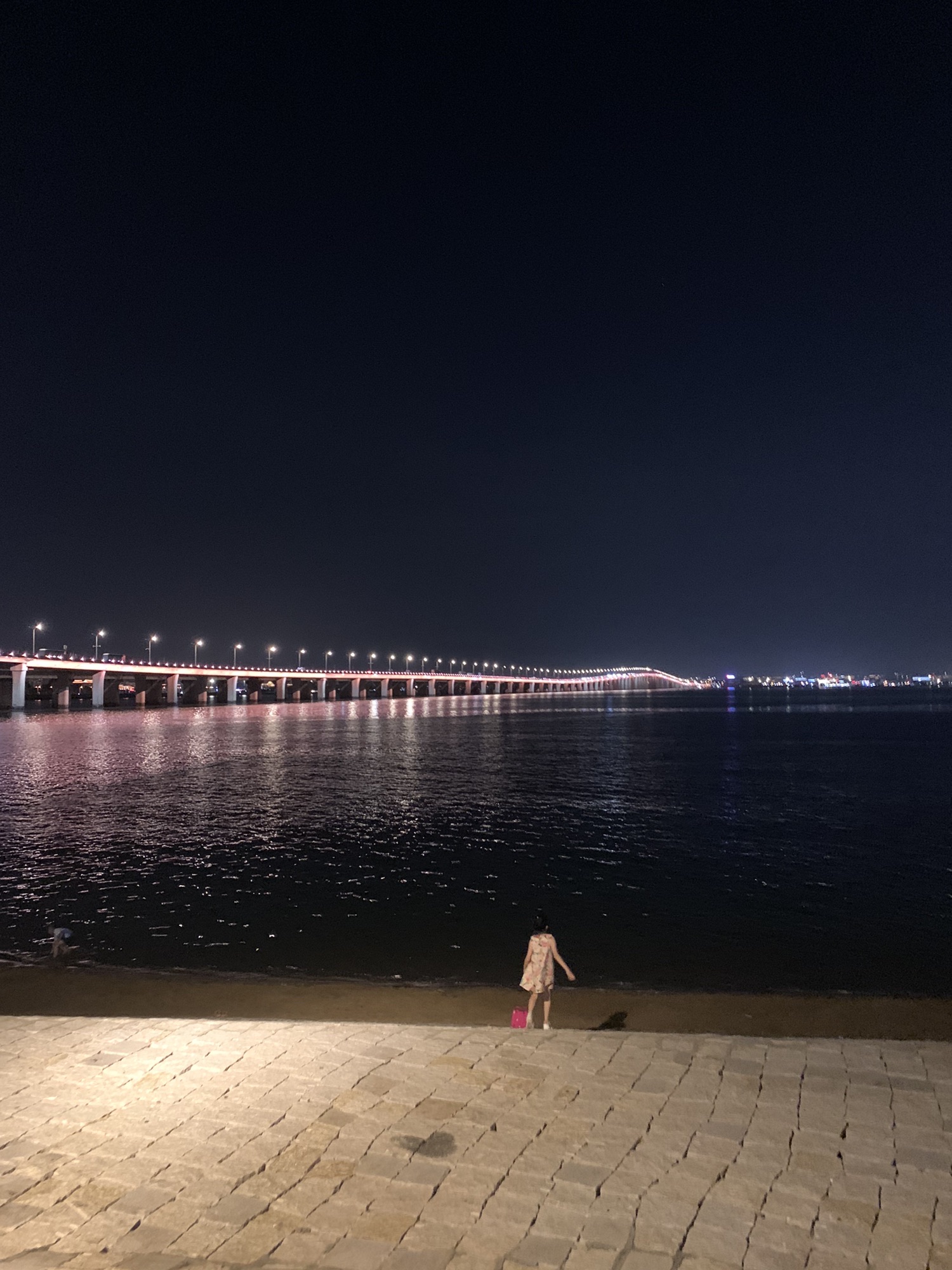 杏林桥观景旅行图片 1