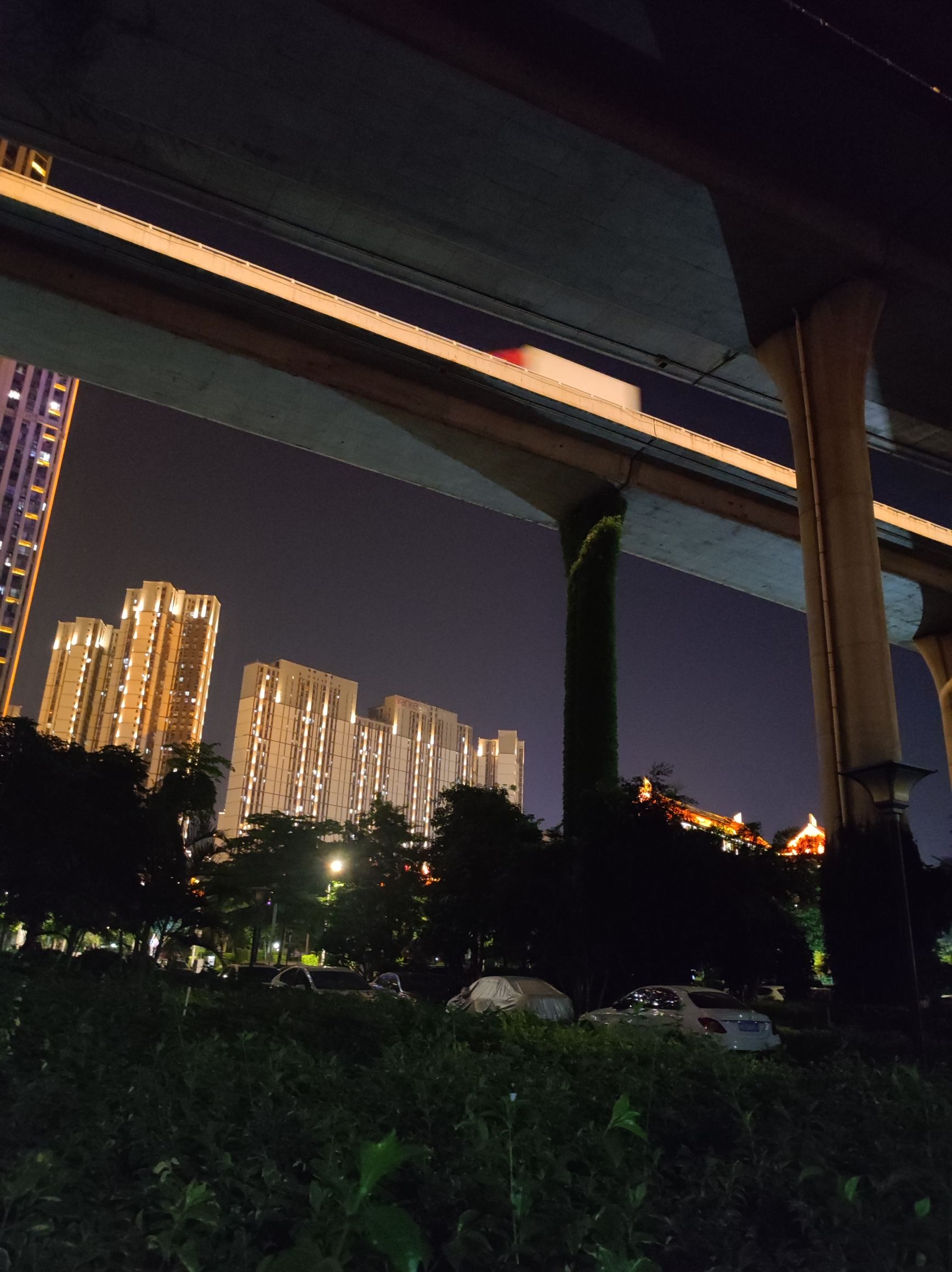 杏林桥观景旅行图片 3