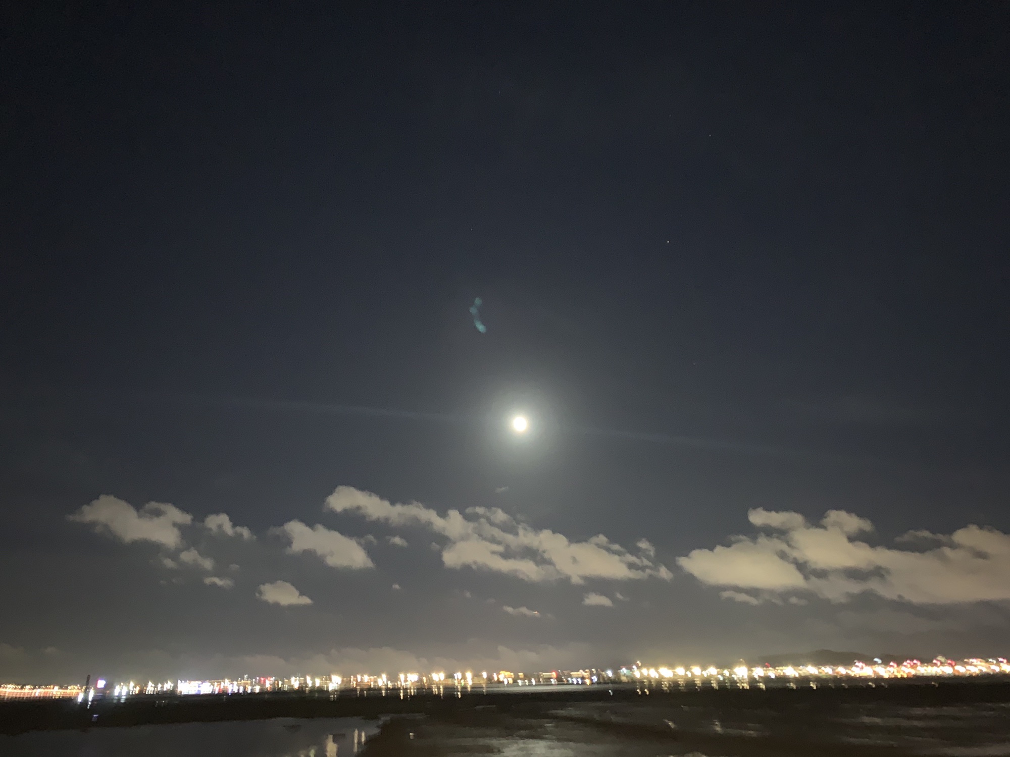 杏林桥观景旅行图片 3