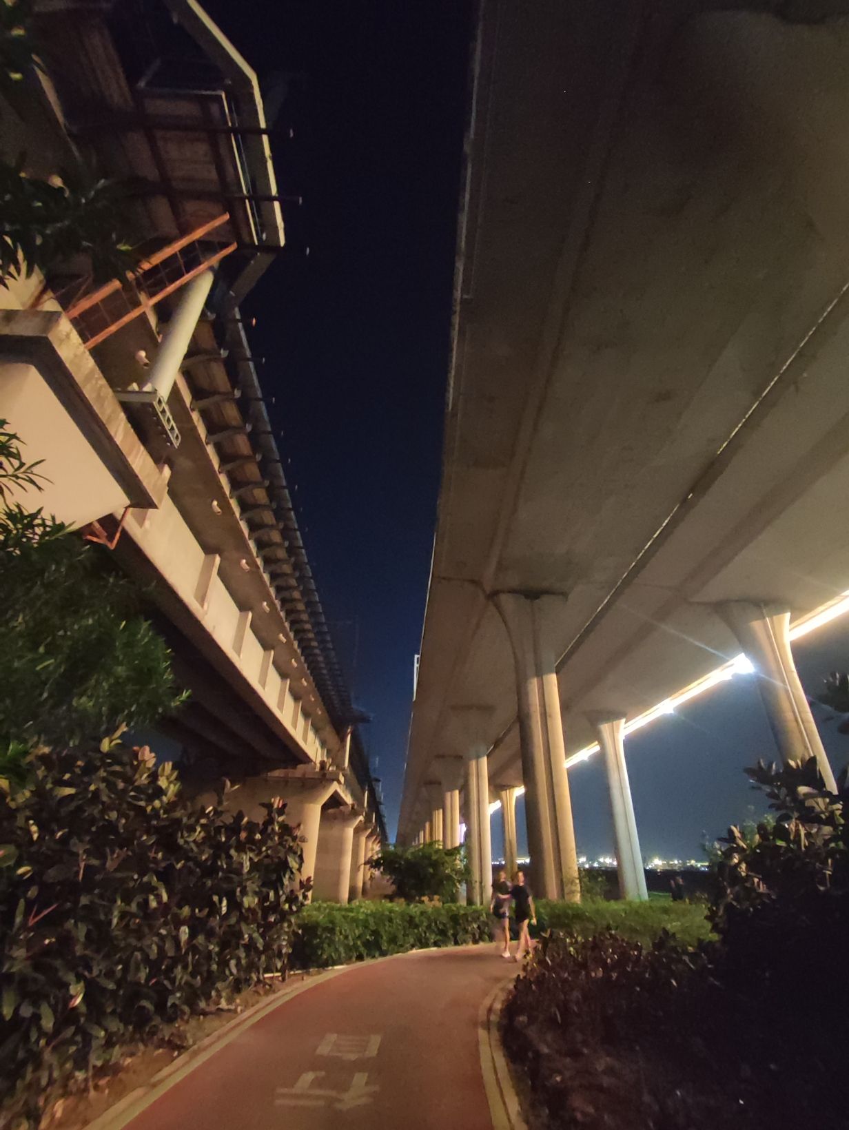 杏林桥观景旅行图片 2
