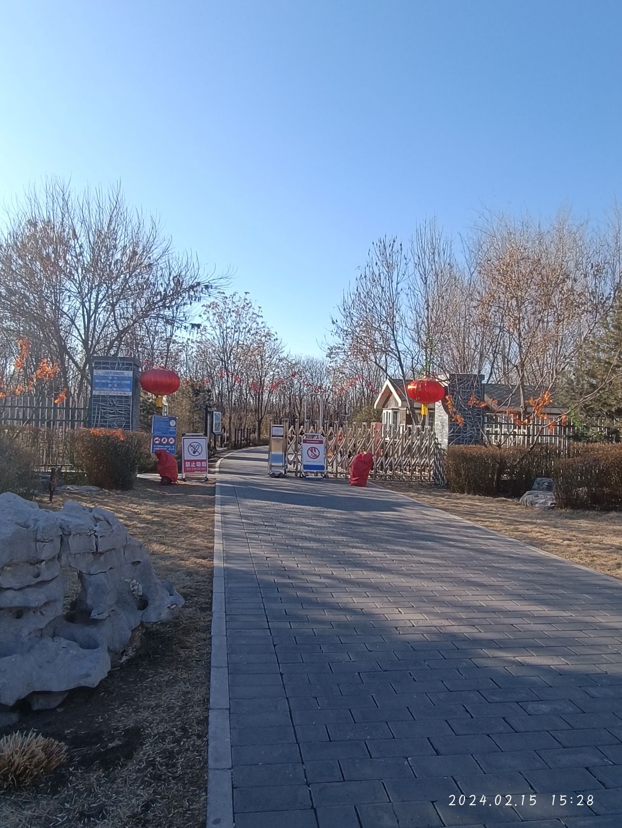 马坡千亩森林公园旅行图片 3