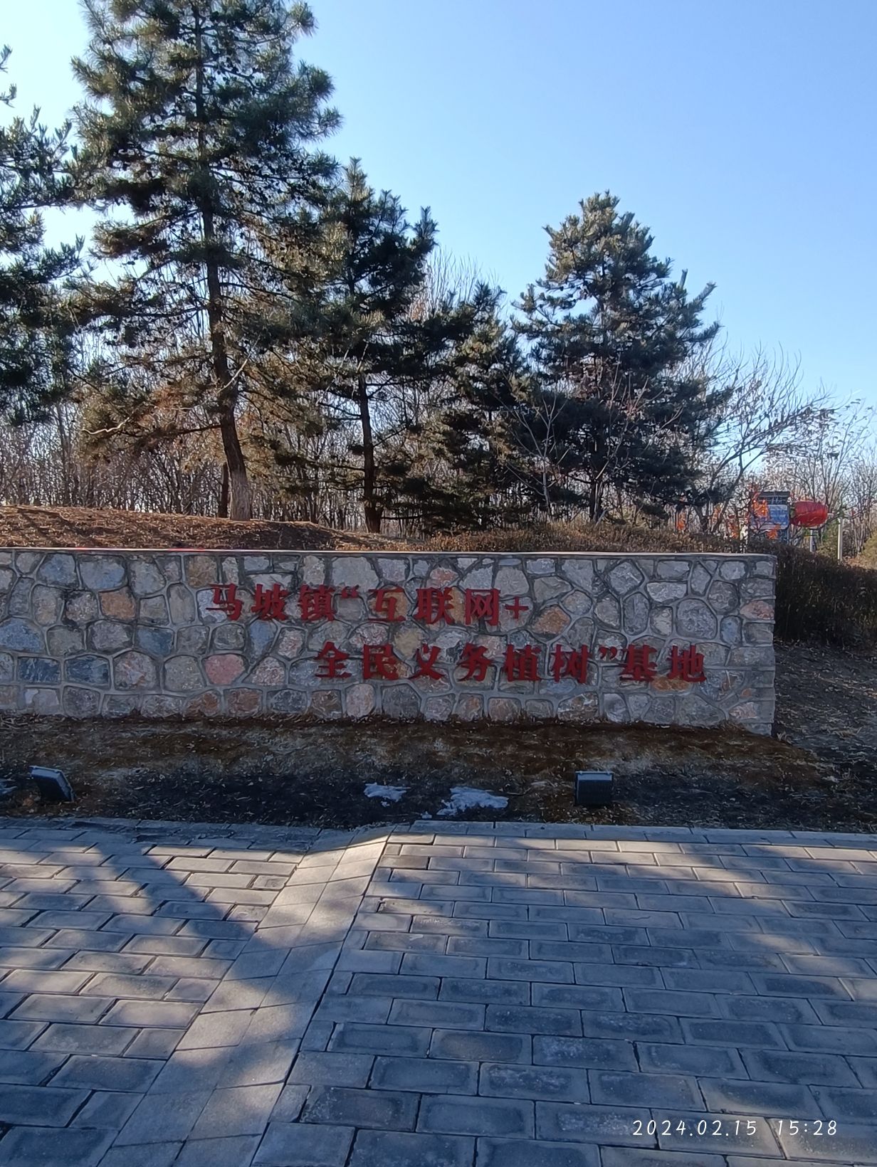 马坡千亩森林公园旅行图片 2