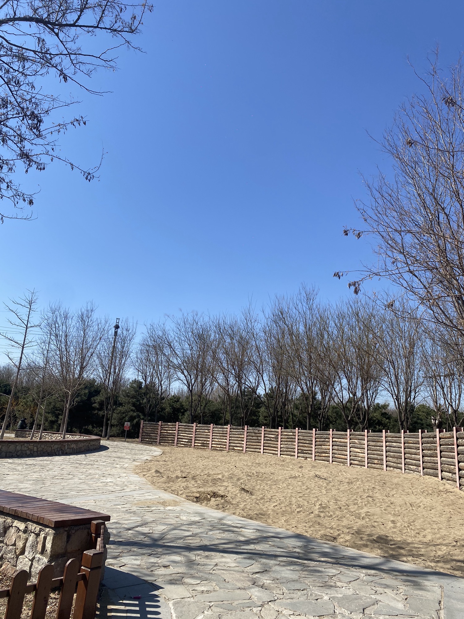 马坡千亩森林公园旅行图片 2
