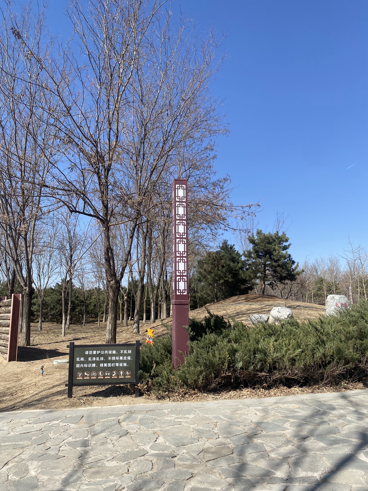 马坡千亩森林公园旅行图片 1