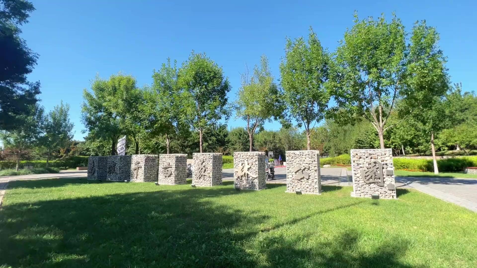 马坡千亩森林公园旅行图片 1