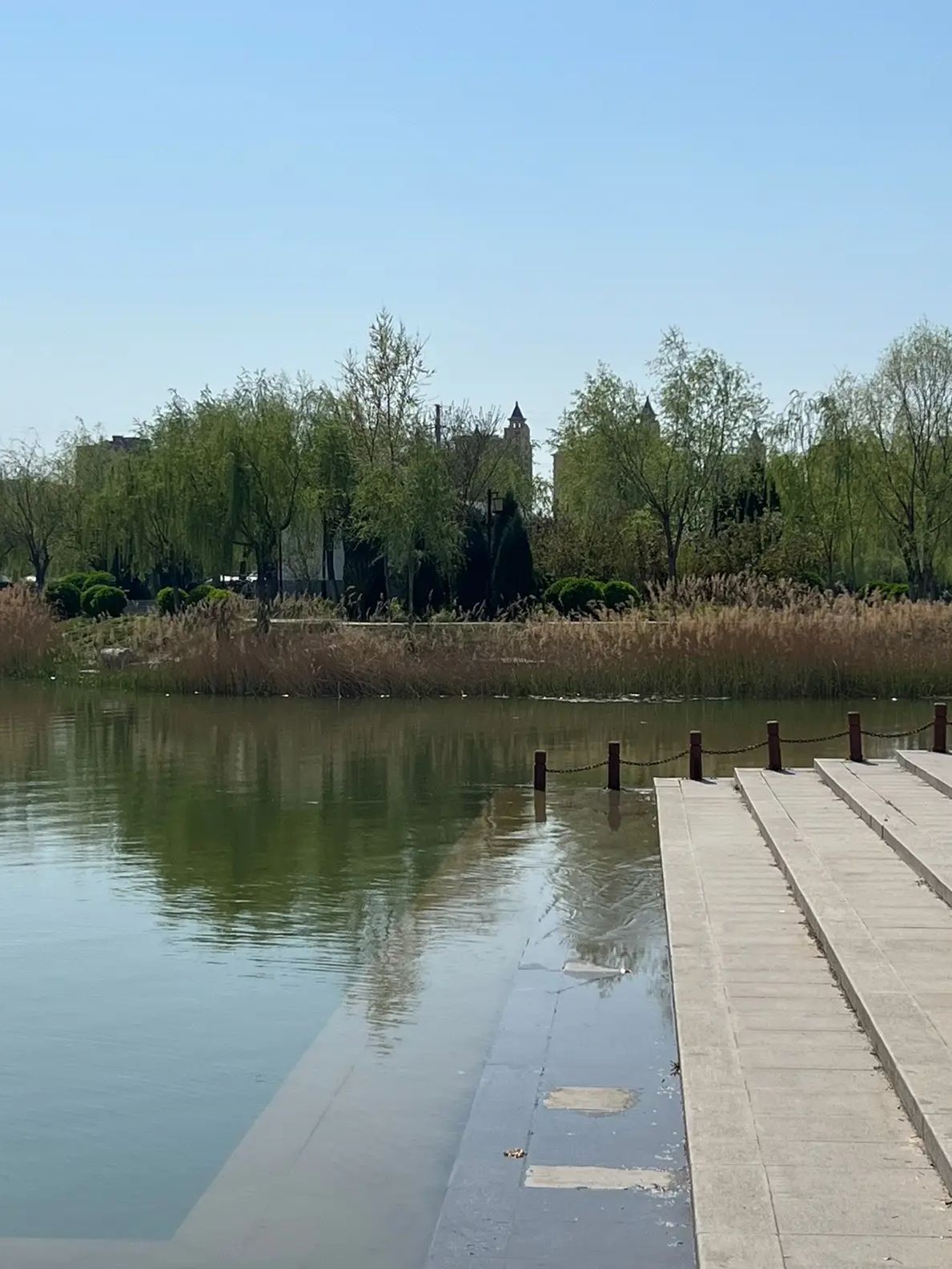 阳谷南湖旅行图片 1