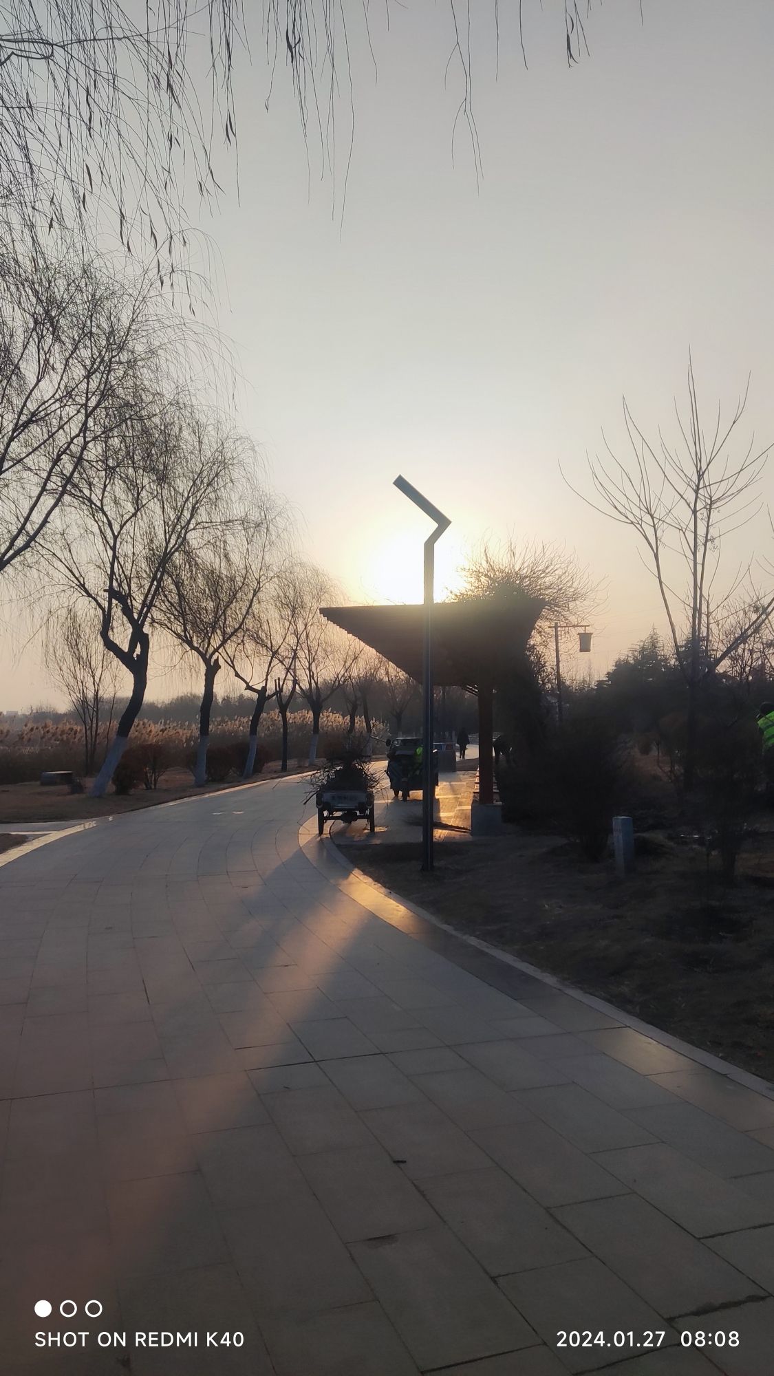 阳谷南湖旅行图片 1