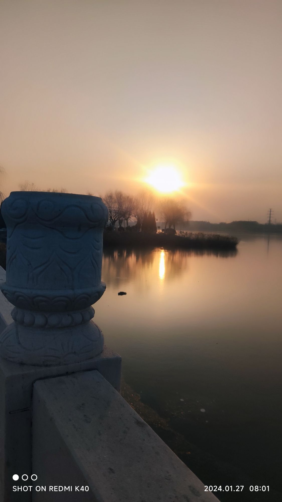 阳谷南湖旅行图片 3