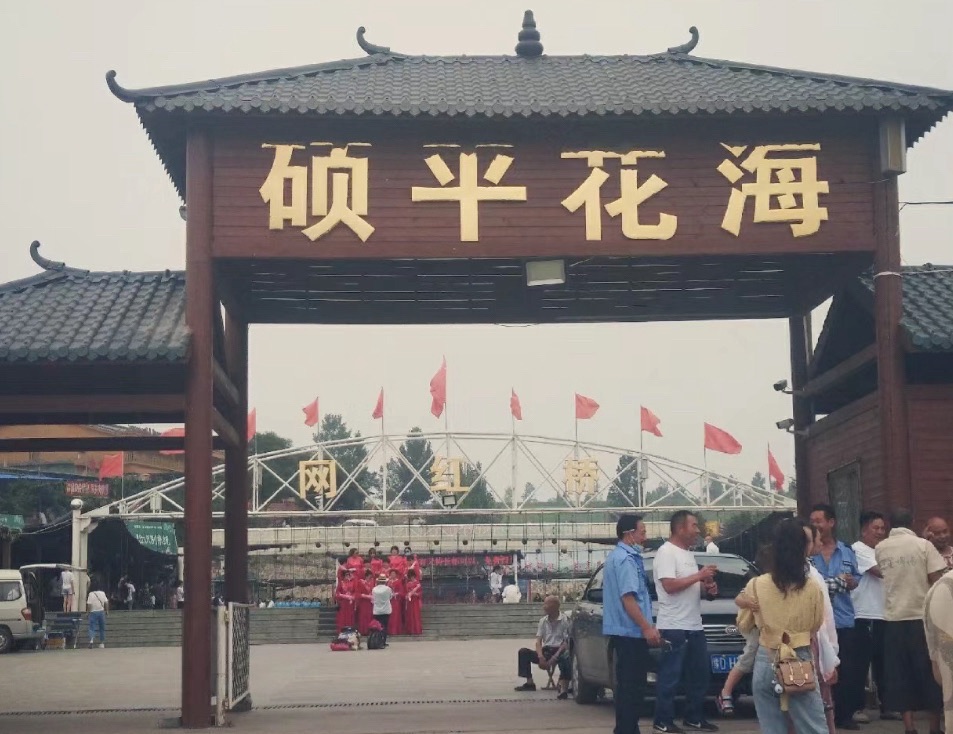 硕平花海旅行图片 3