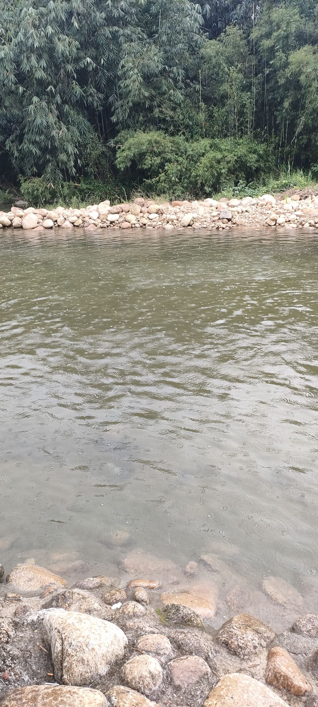 浸仔湾旅行图片 2