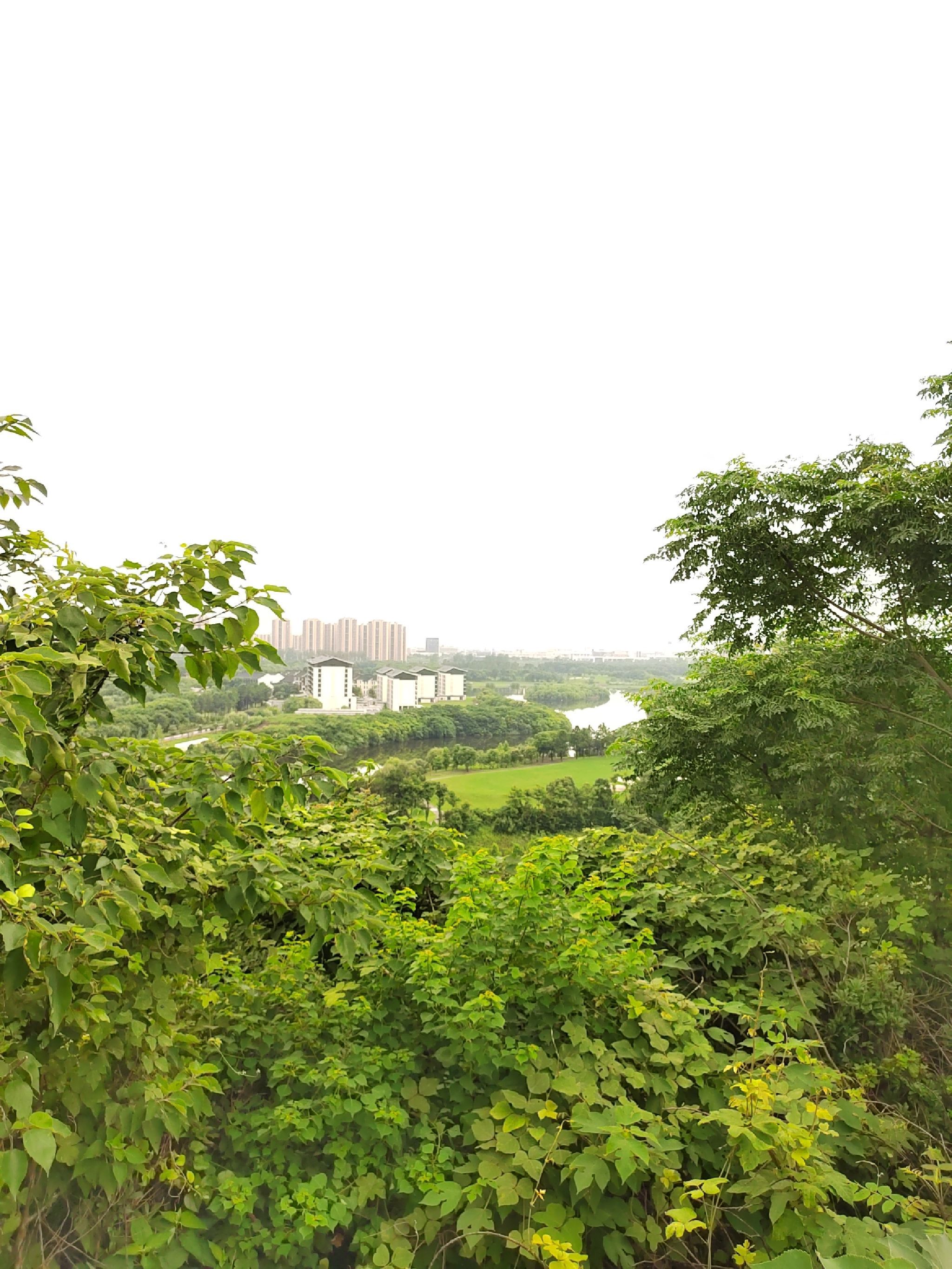 黄湾炮台山旅行图片 1