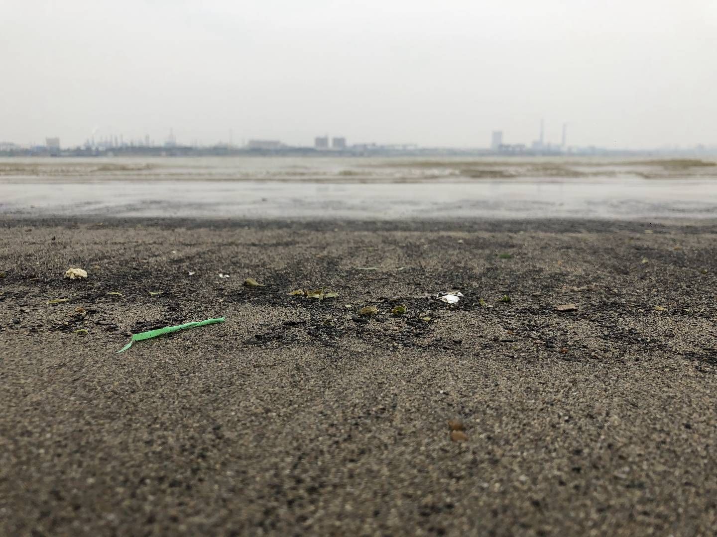 九江市江洲岛洲头沙滩风景区旅行图片 1