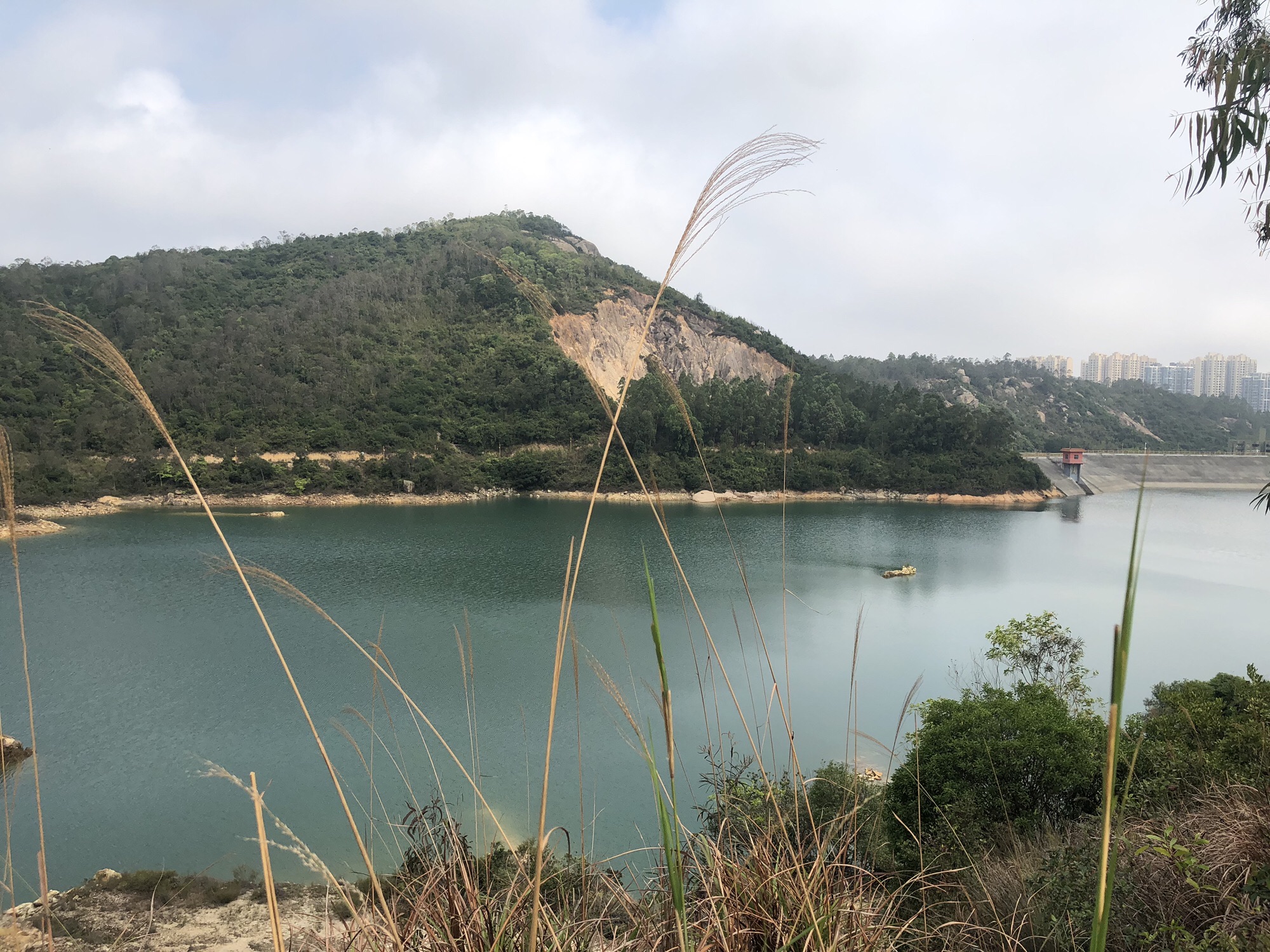 黄绿背水库旅行图片 3