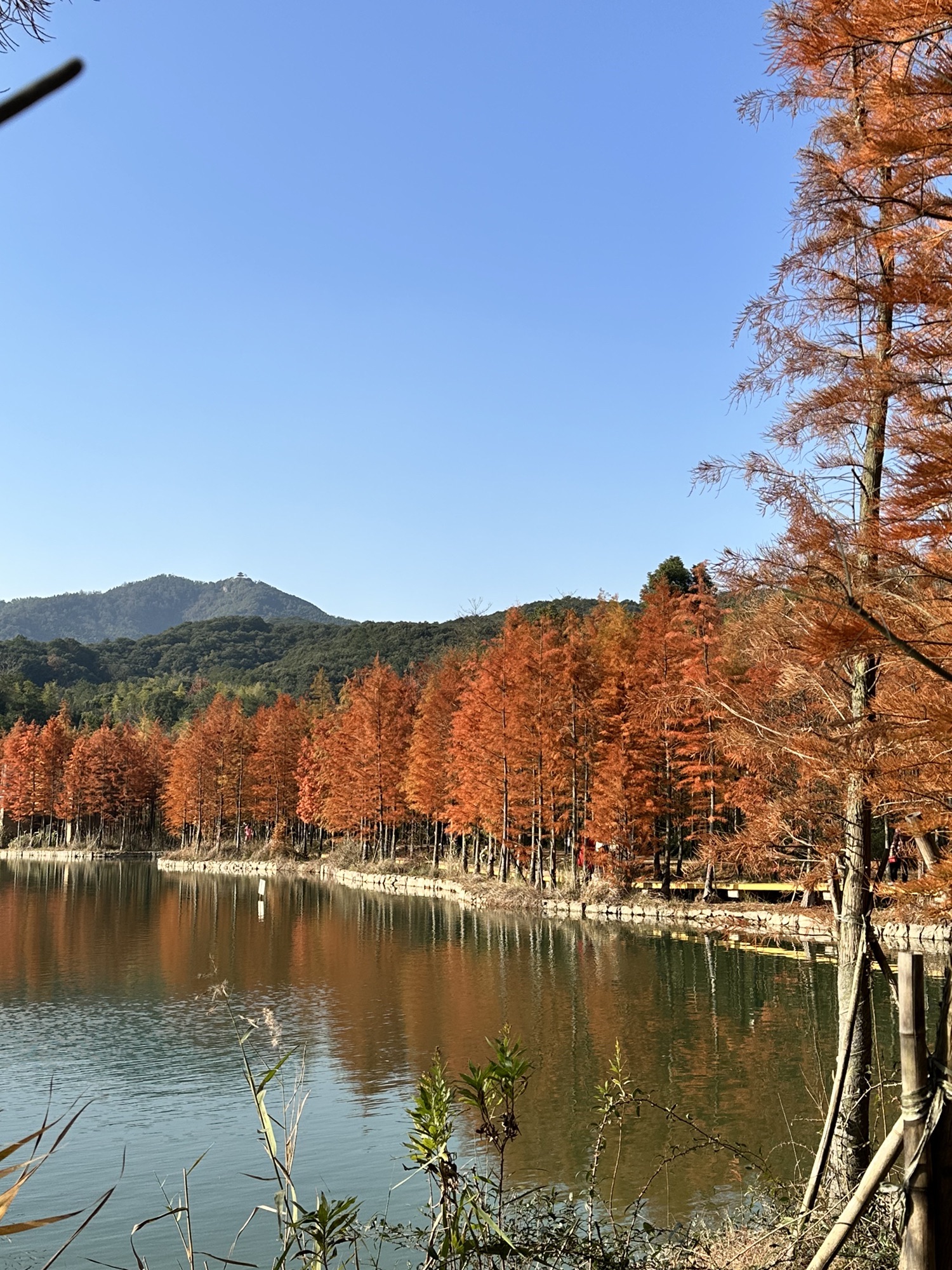 凤凰山考古遗址公园旅行图片 3