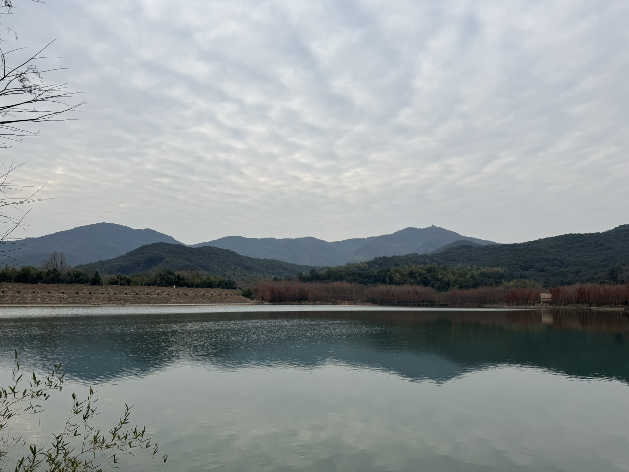 凤凰山考古遗址公园旅行图片 3