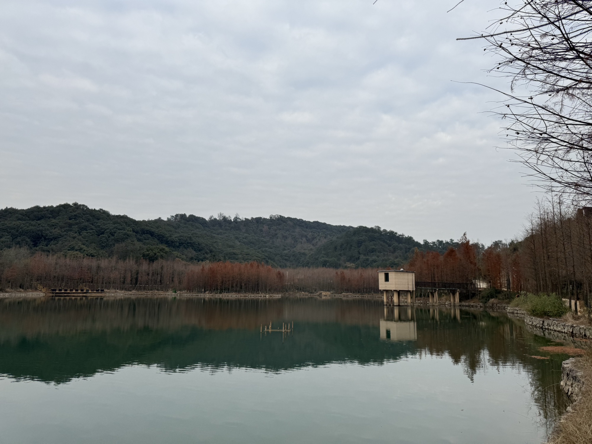 凤凰山考古遗址公园旅行图片 1