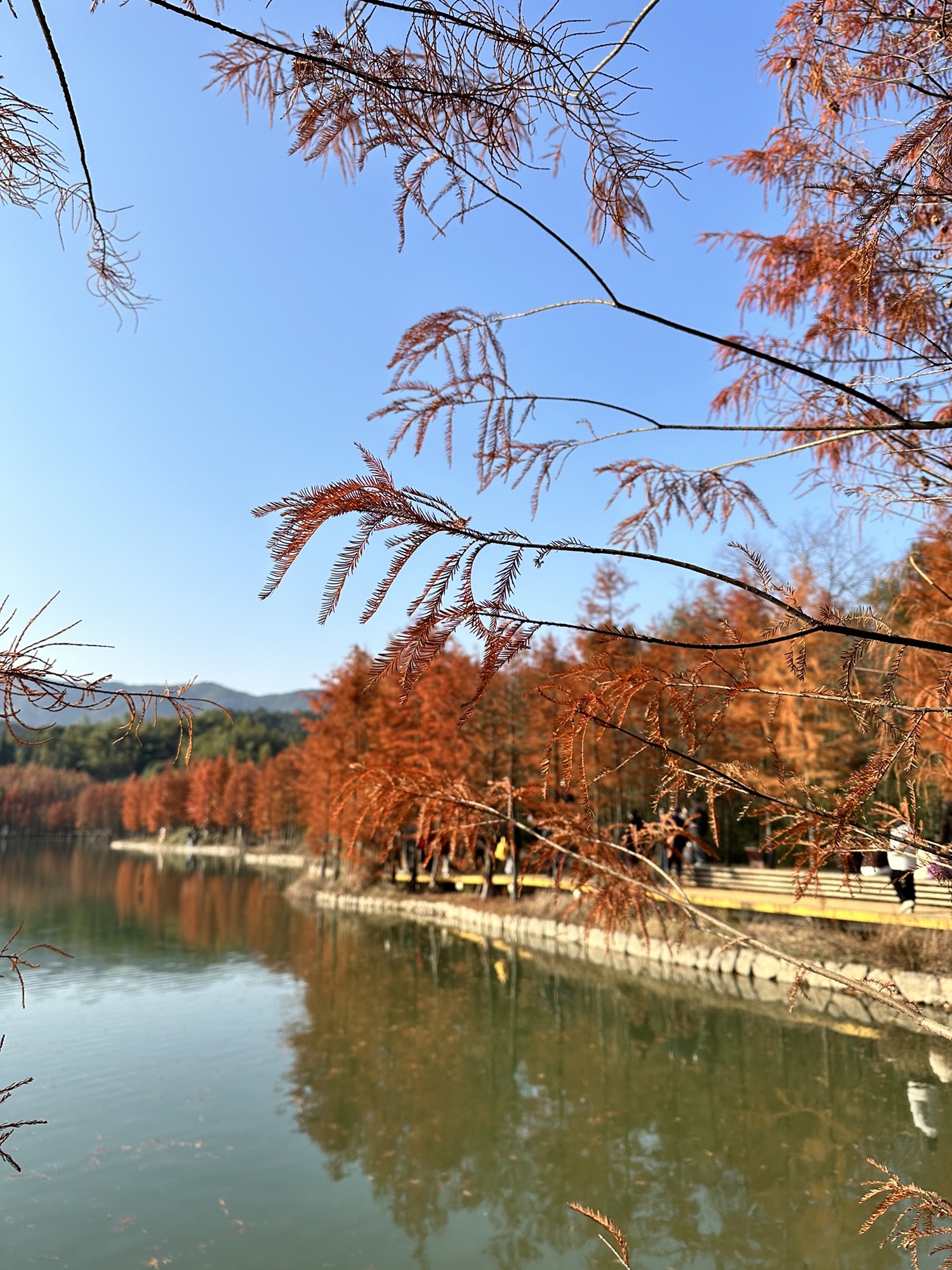 凤凰山考古遗址公园旅行图片 1