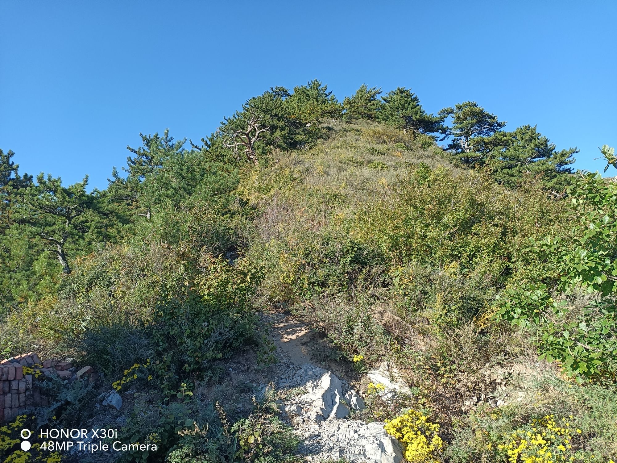 芦芽山馒头山亿年溶洞玻璃栈道风景区旅行图片 1