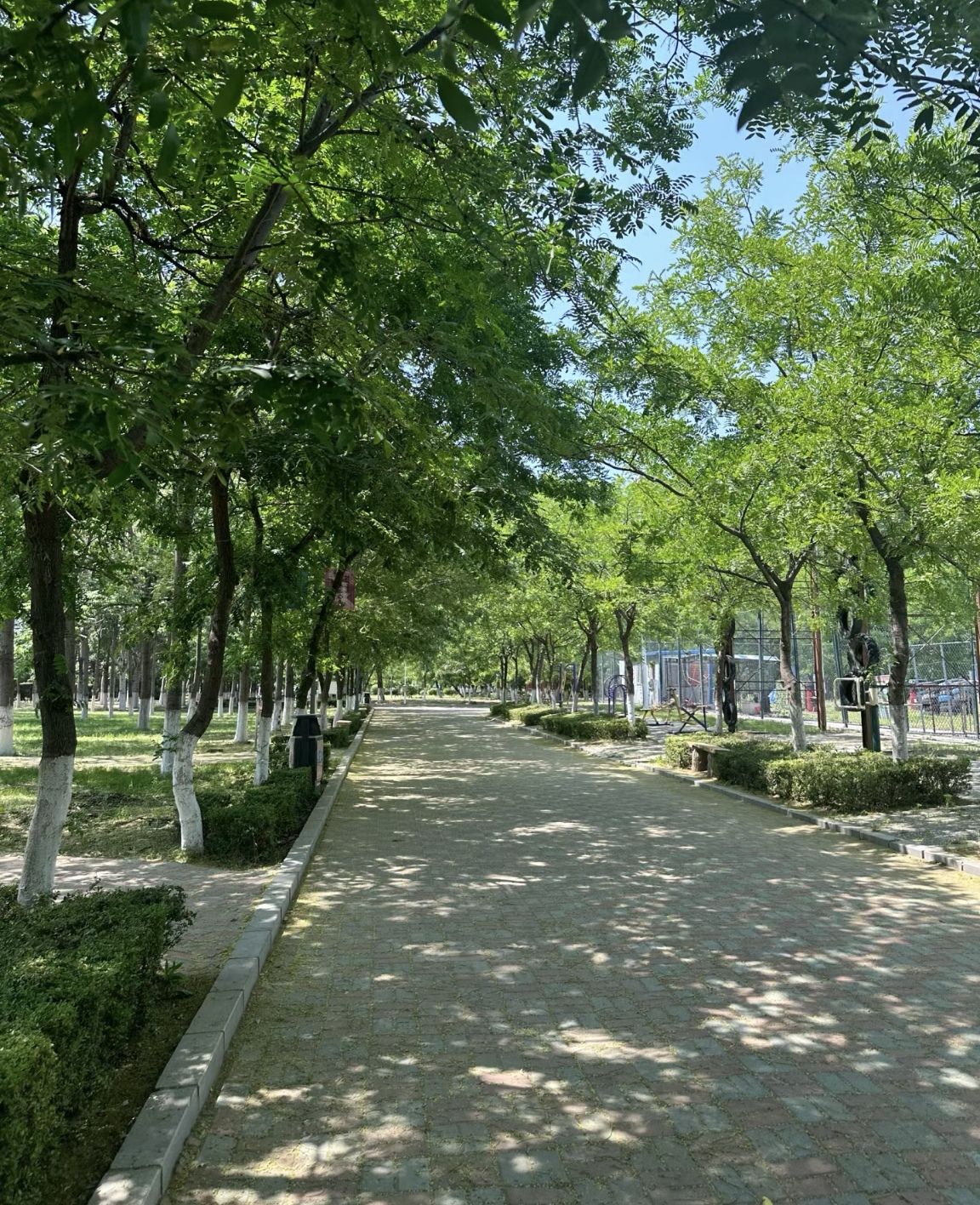月亮湖公园旅行图片 1
