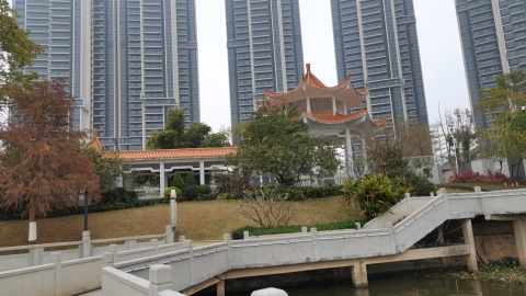 浈阳湖旅行图片 3