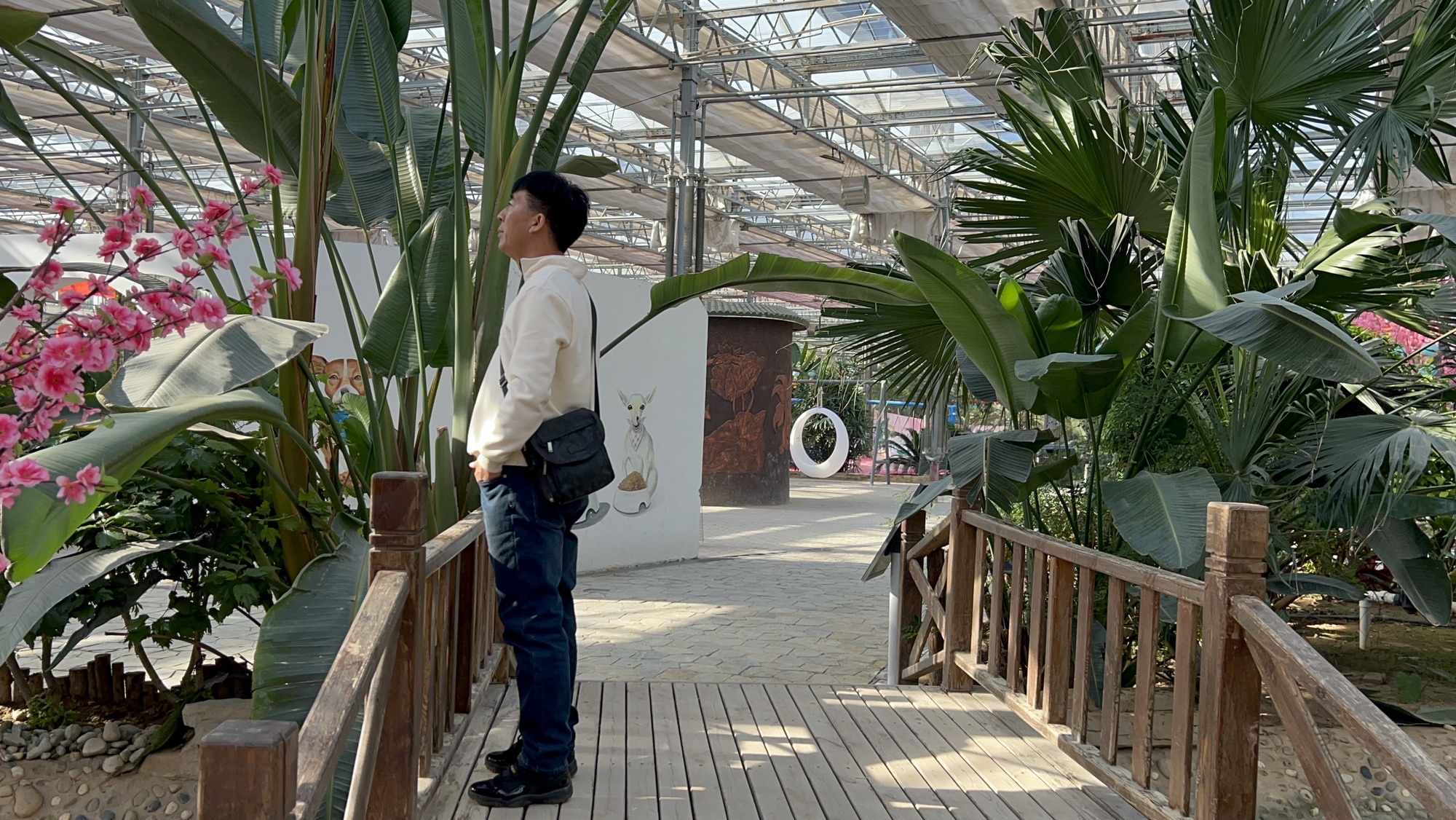 南和农业嘉年华旅行图片 2