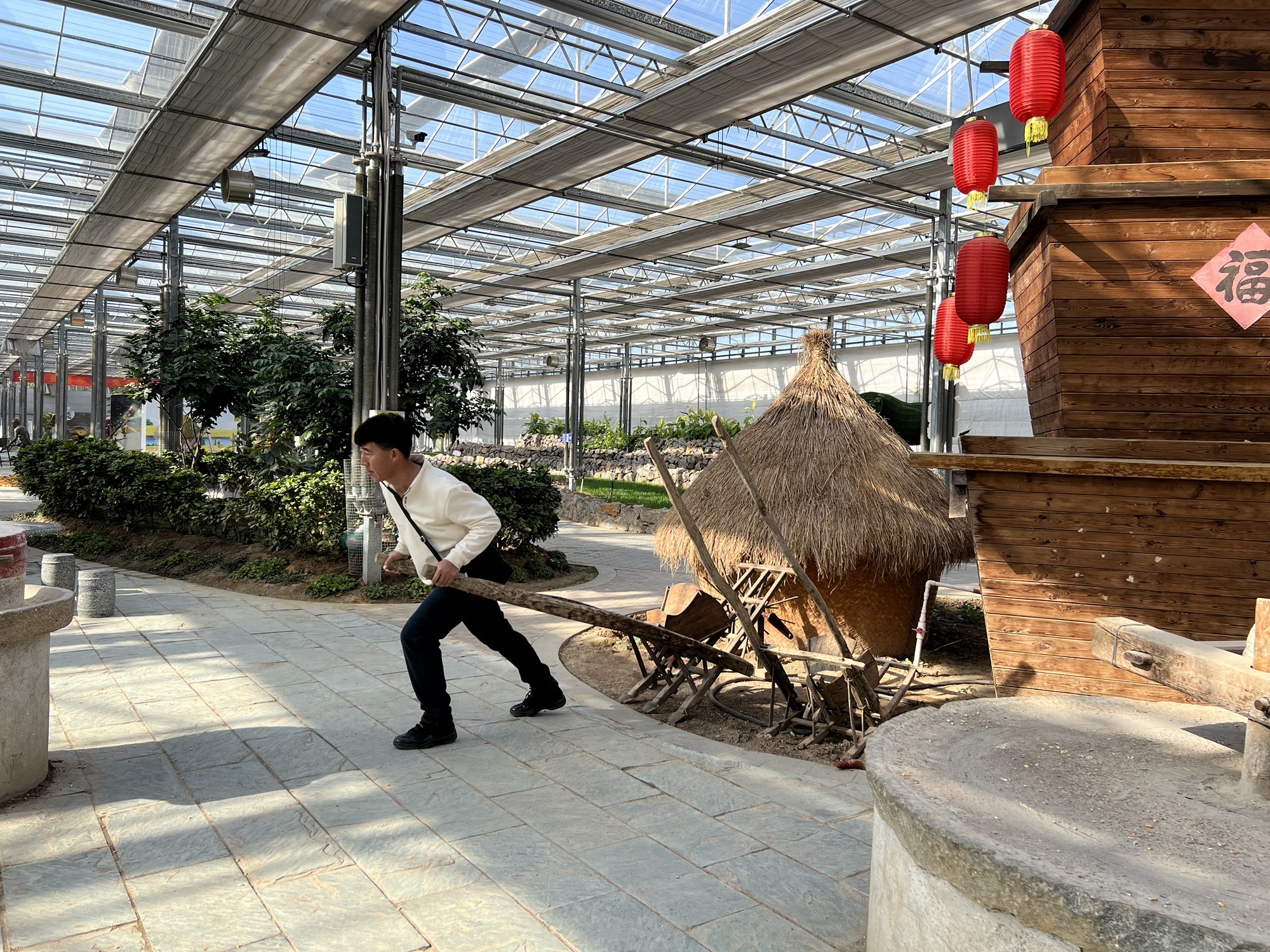 南和农业嘉年华旅行图片 1