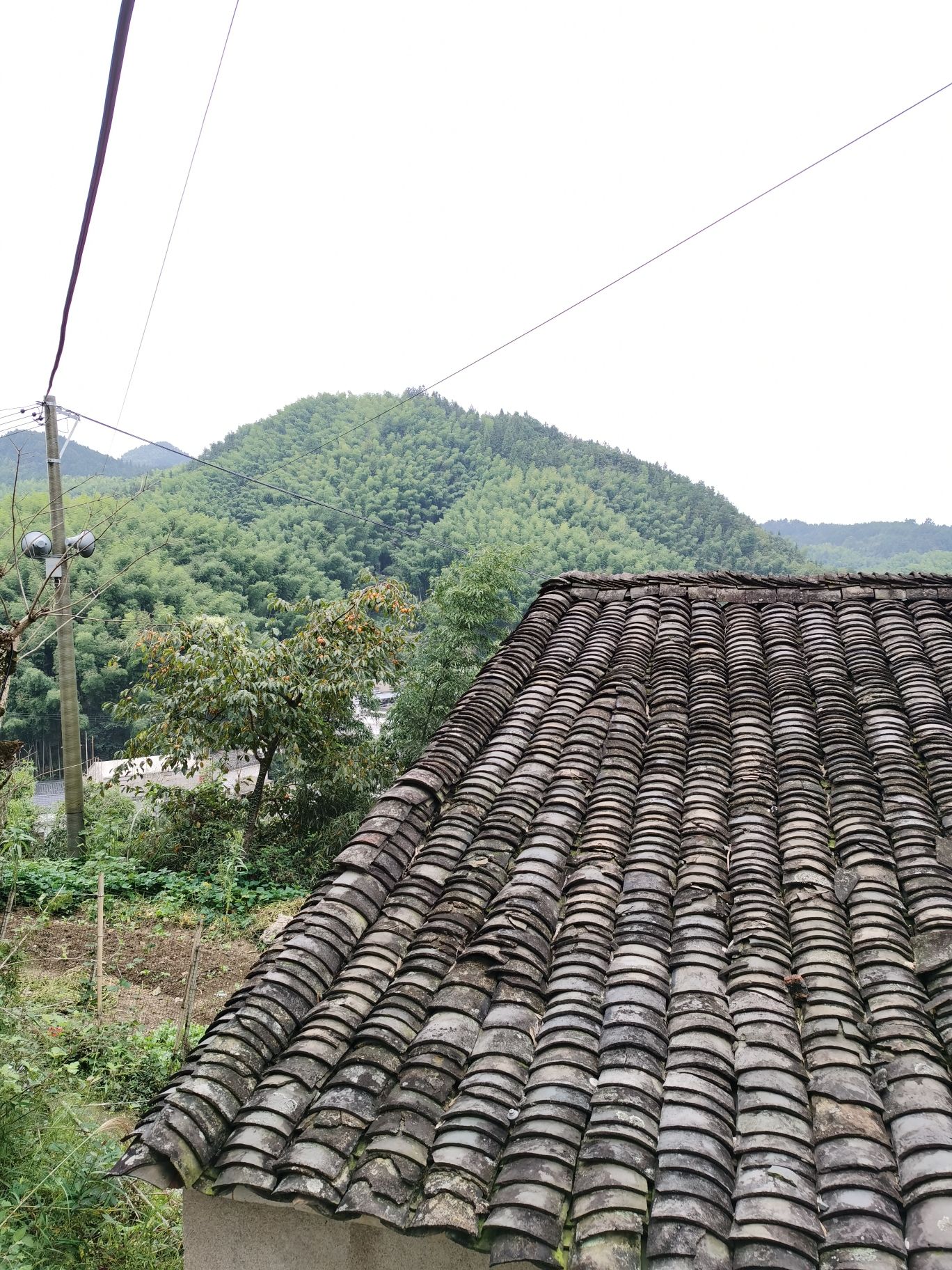 灵山景区古建筑群旅行图片 3