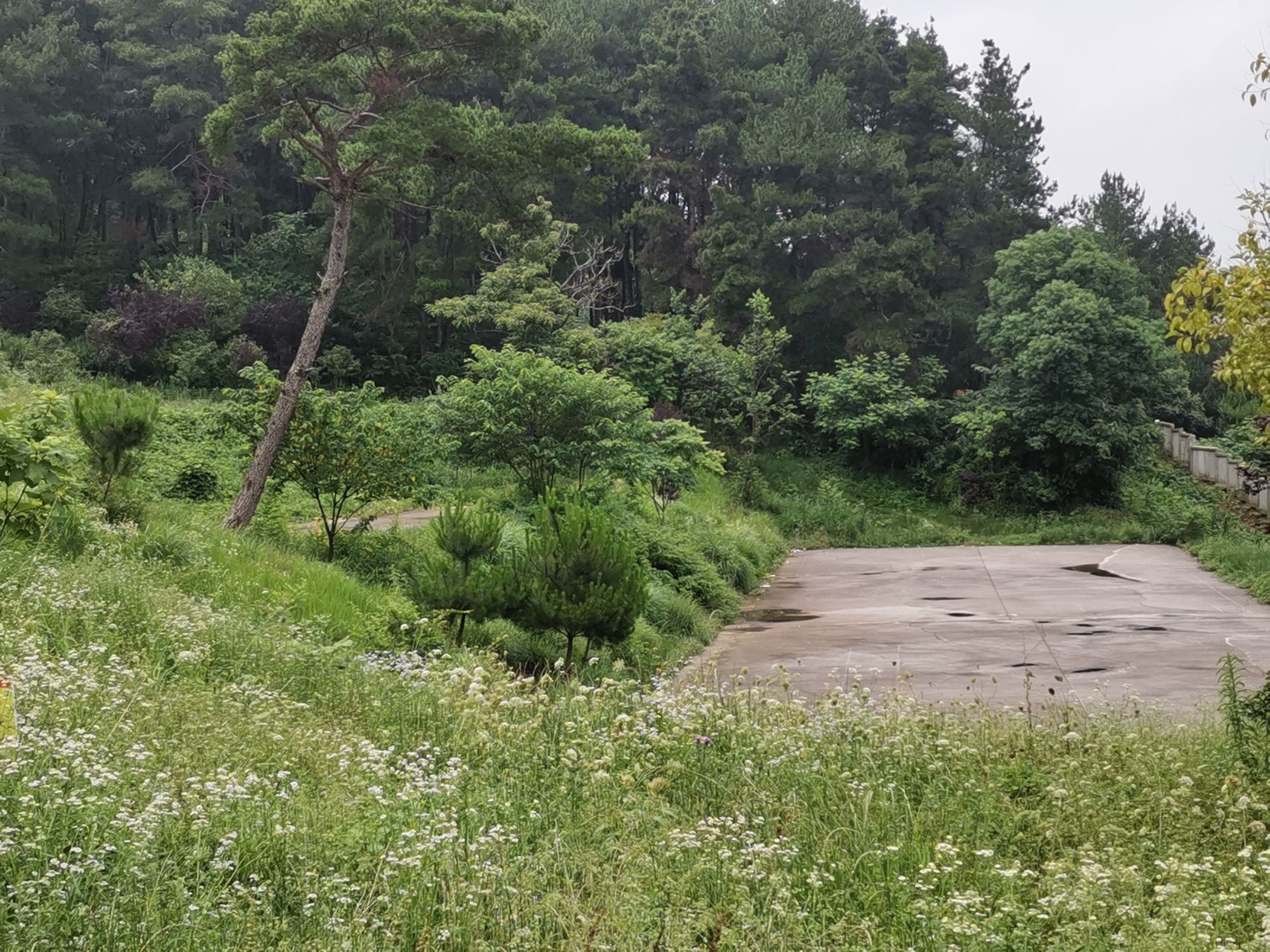 经开区体育公园旅行图片 3
