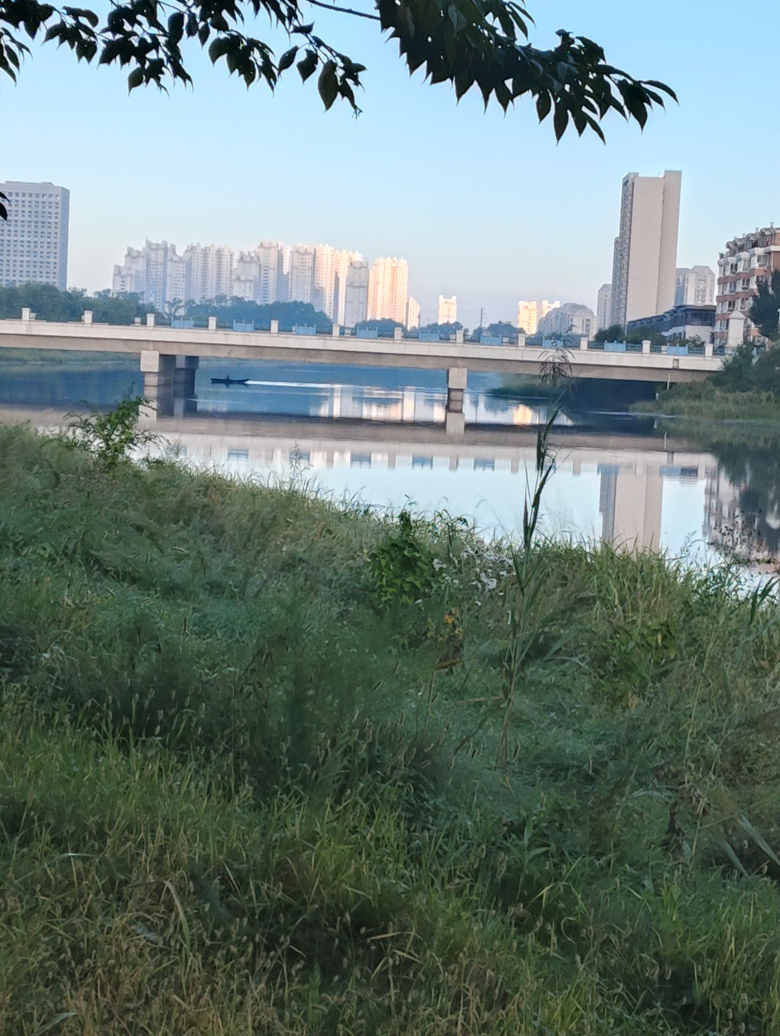 新区中心公园旅行图片 3