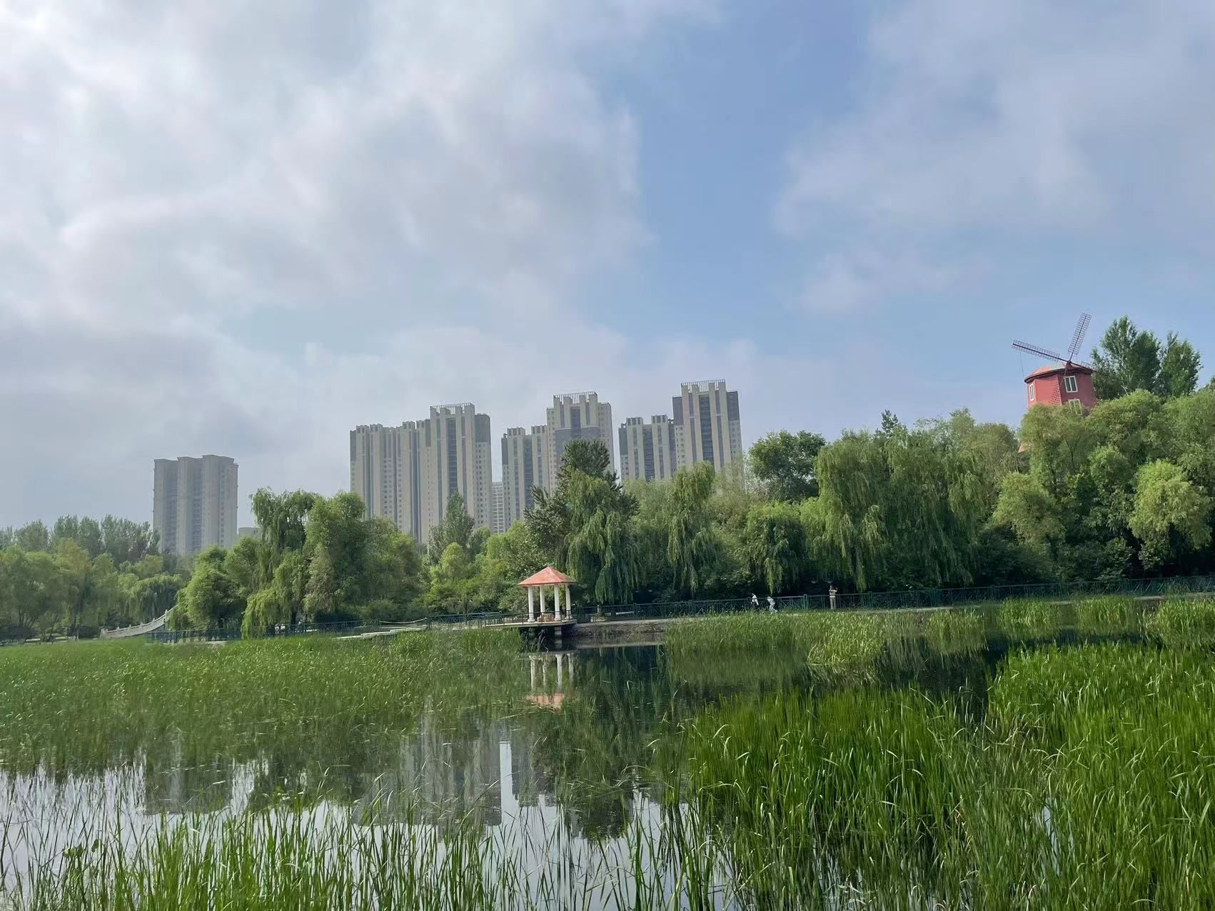 新区中心公园旅行图片 2