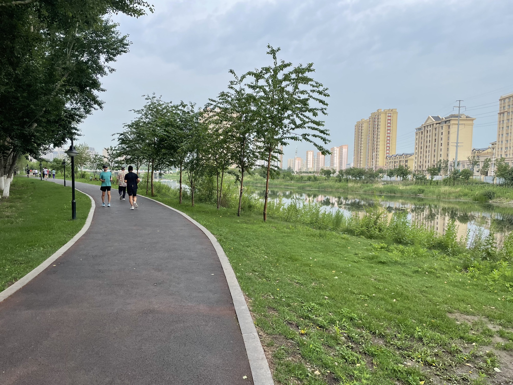 新区中心公园旅行图片 1