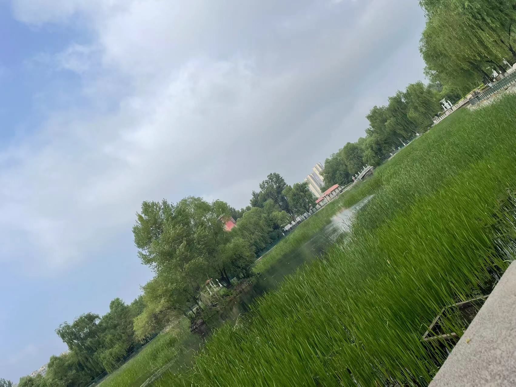 新区中心公园旅行图片 1