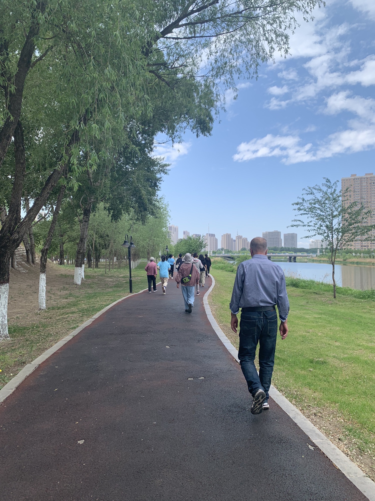 新区中心公园旅行图片 2