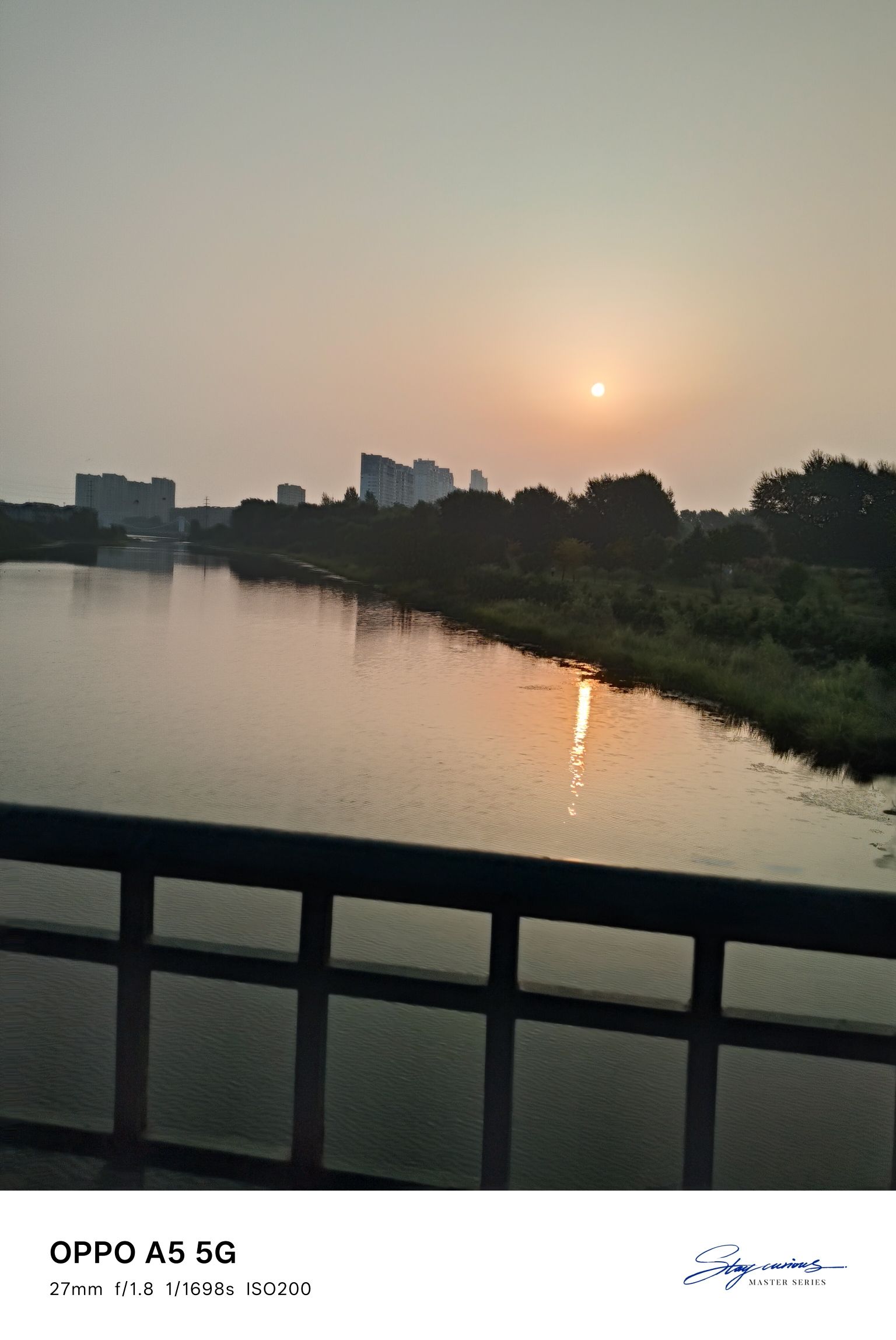新区中心公园旅行图片 1