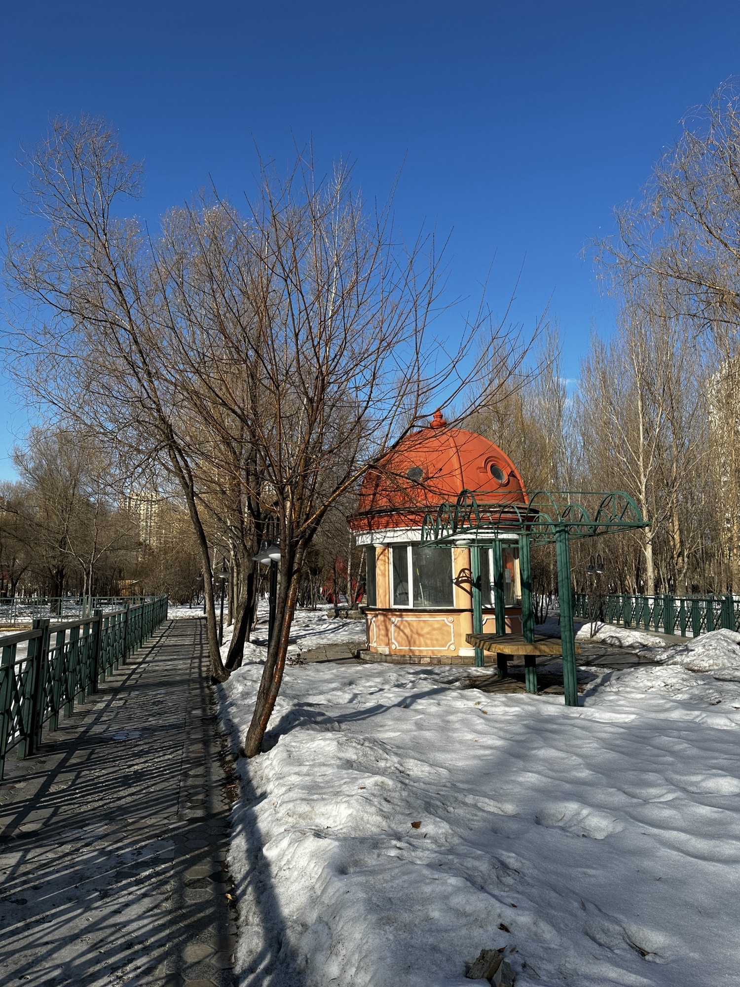 新区中心公园旅行图片 3