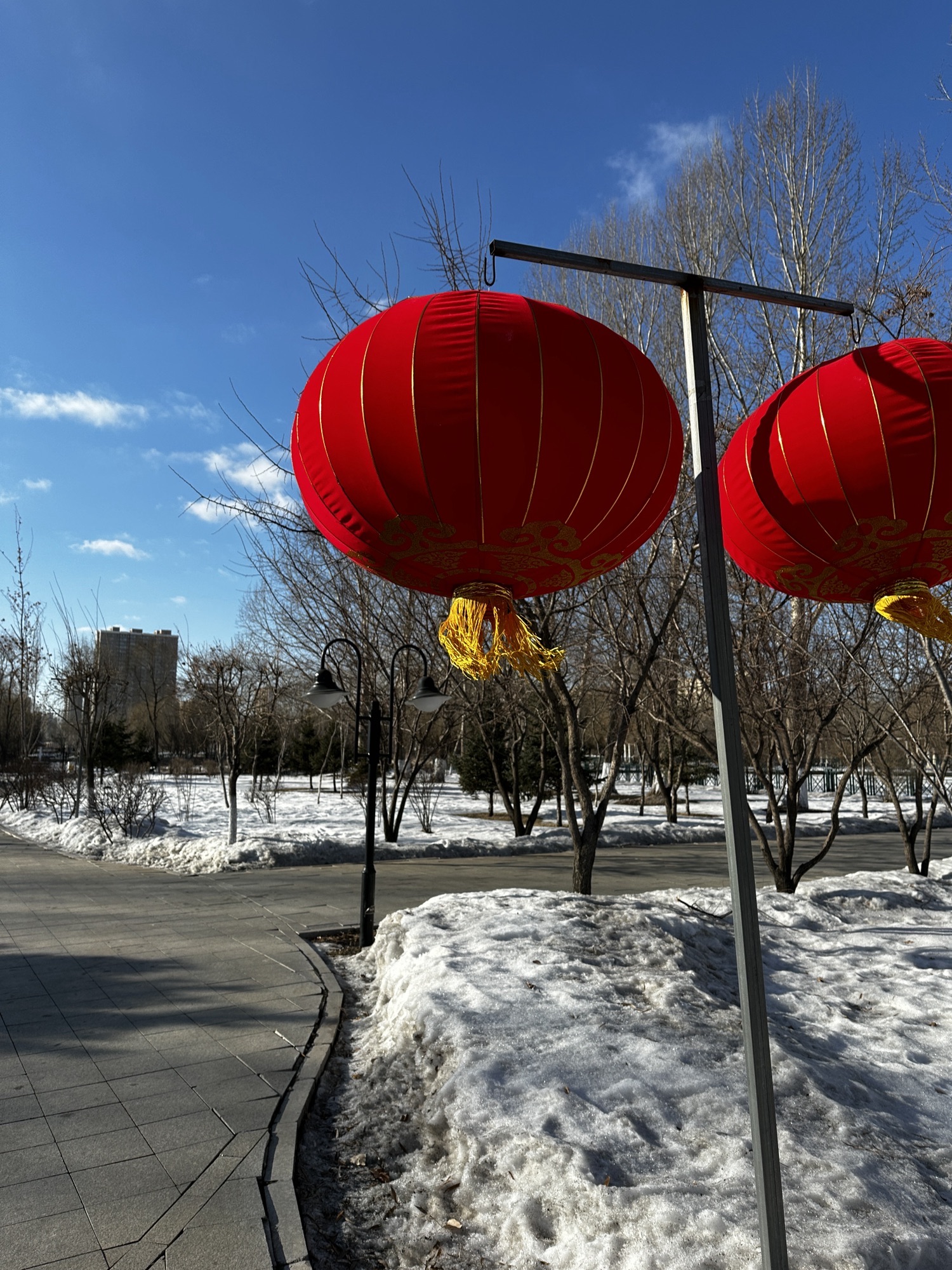 新区中心公园旅行图片 1