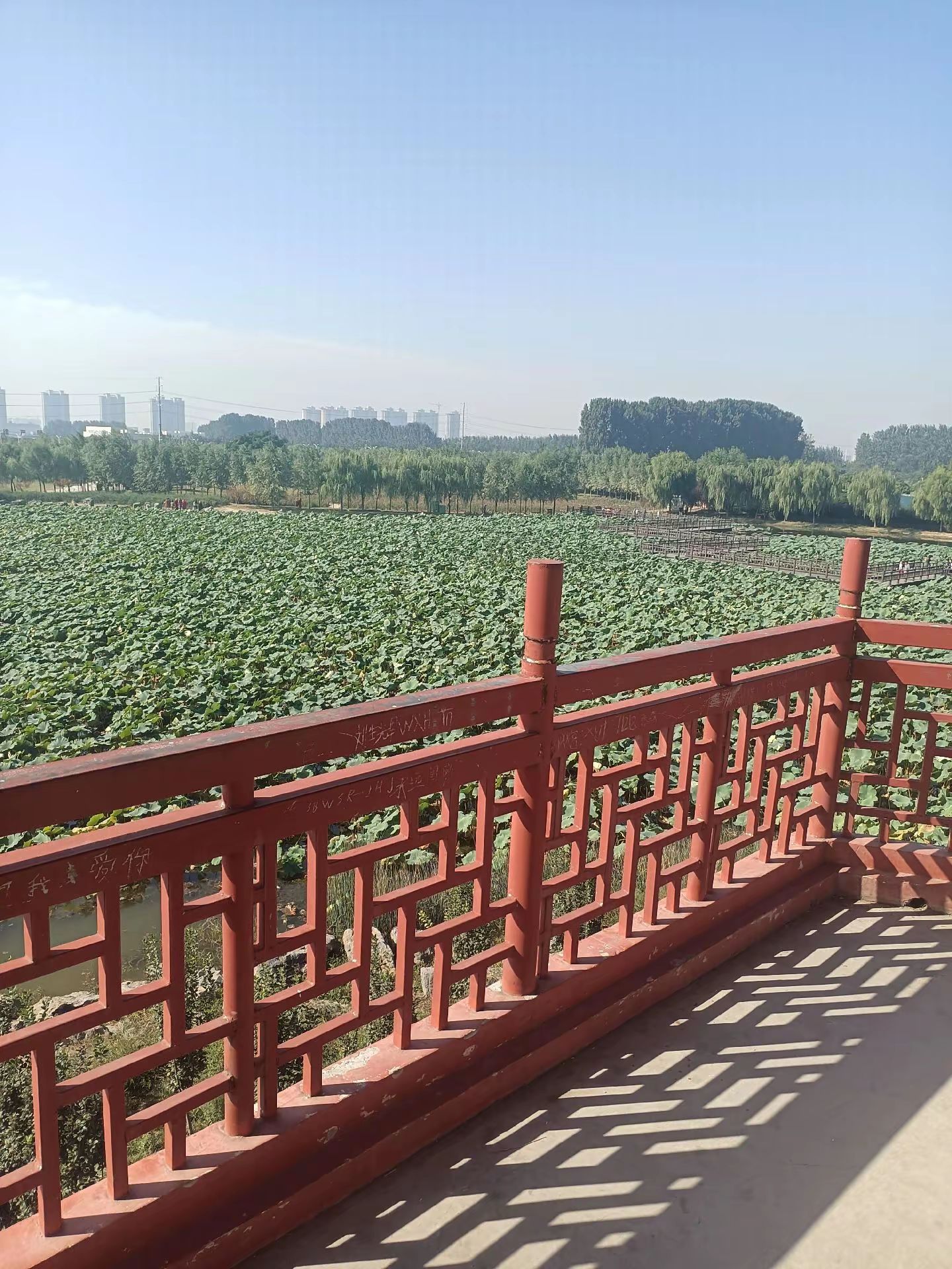 博爱县李商隐文化主题公园旅行图片 2