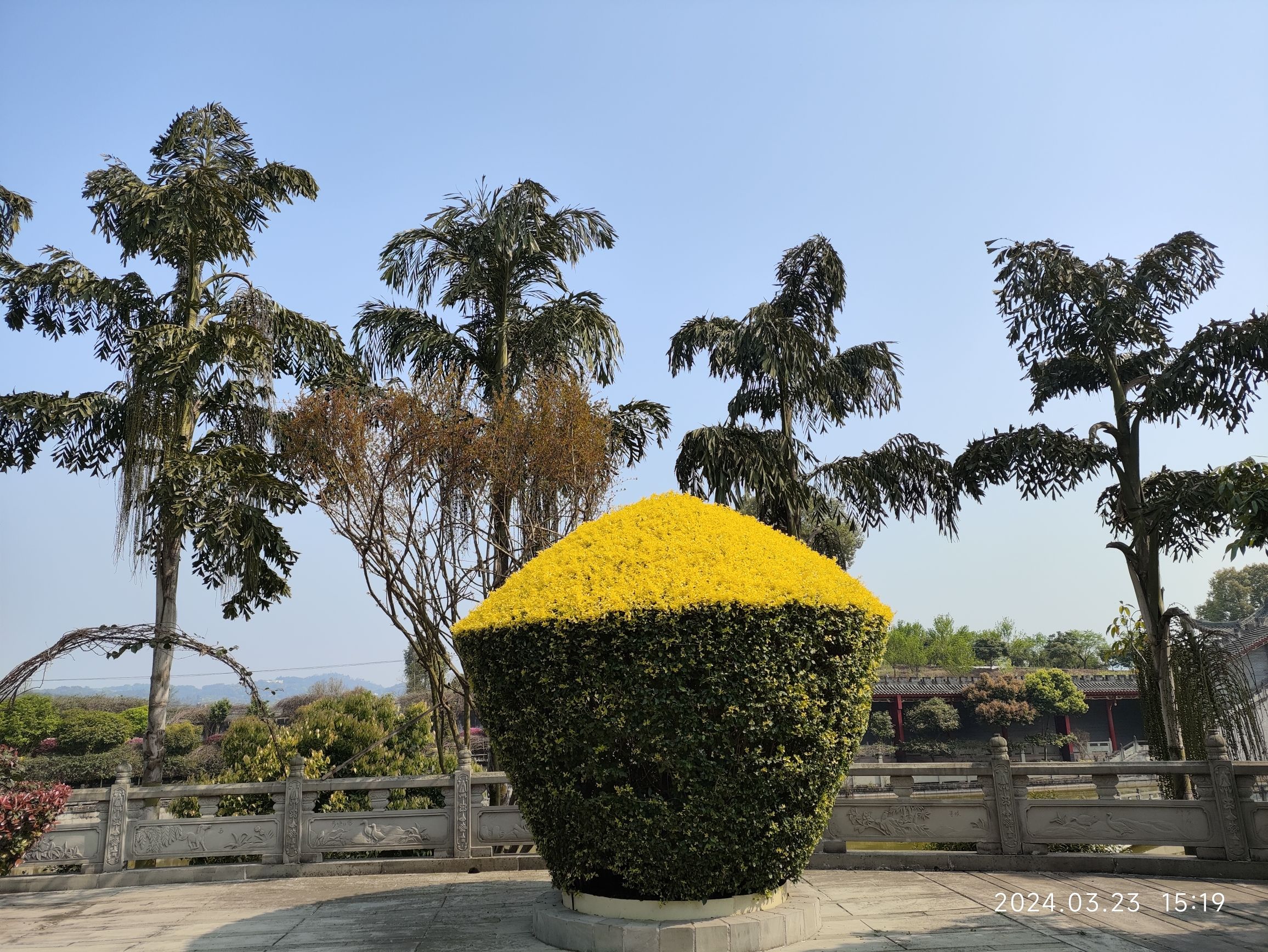 朱家大院旅行图片 3