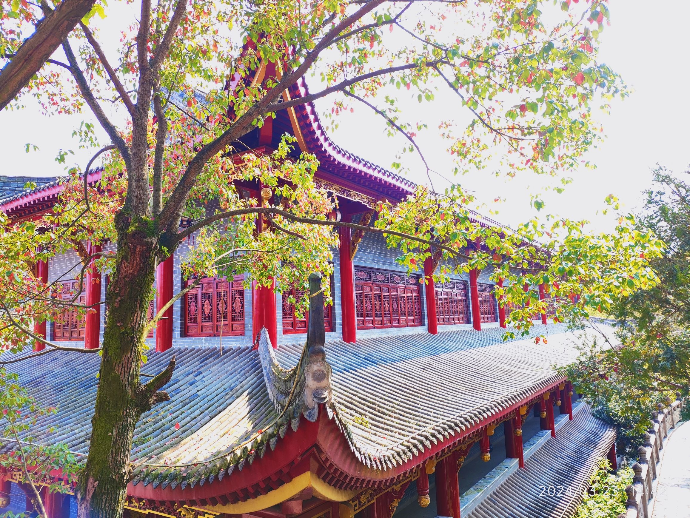 朱家大院旅行图片 2