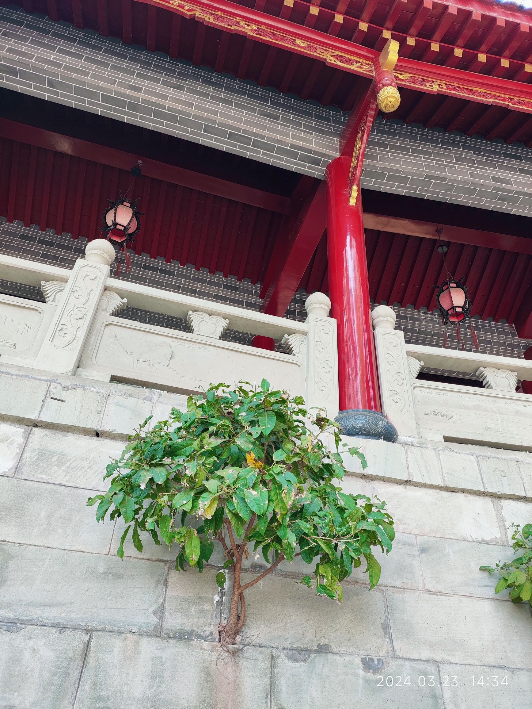 朱家大院旅行图片 1